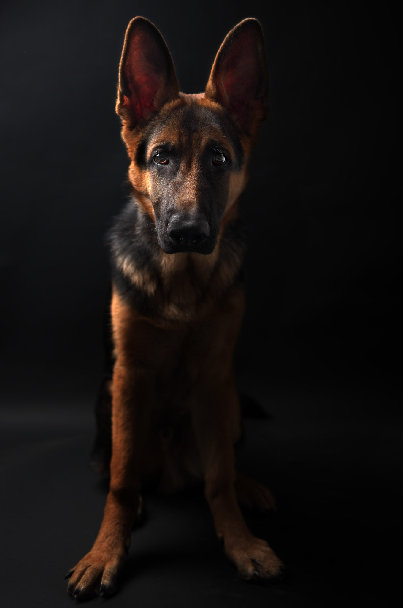 Staff Winter Selection 2015.