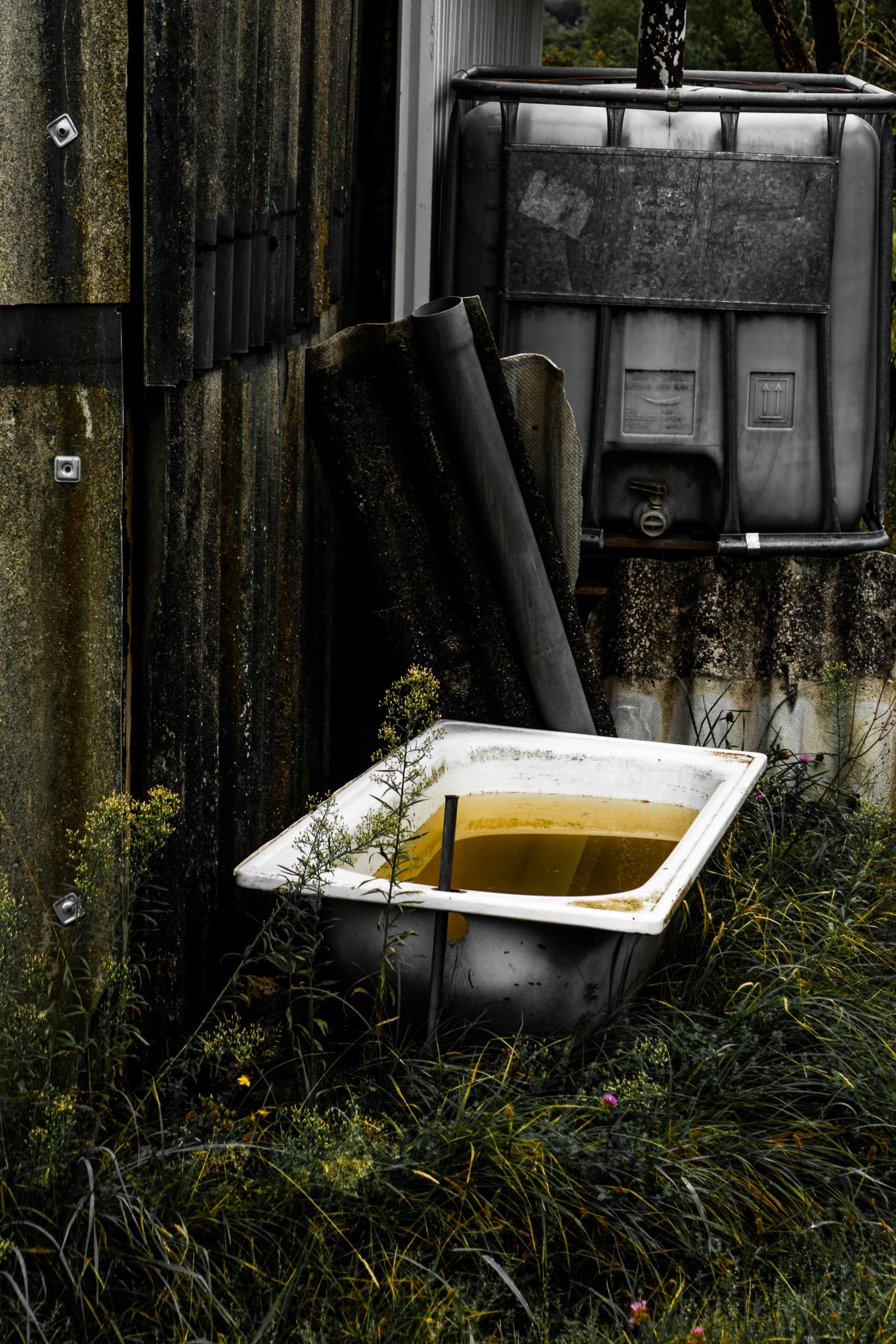 Featured, March 2022.