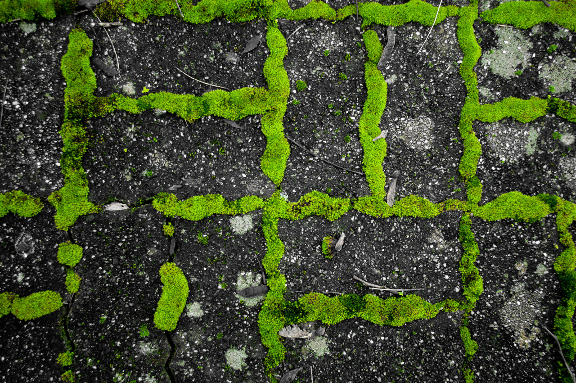 Featured, May 2021. Top Shot Award 2022. May 2022.