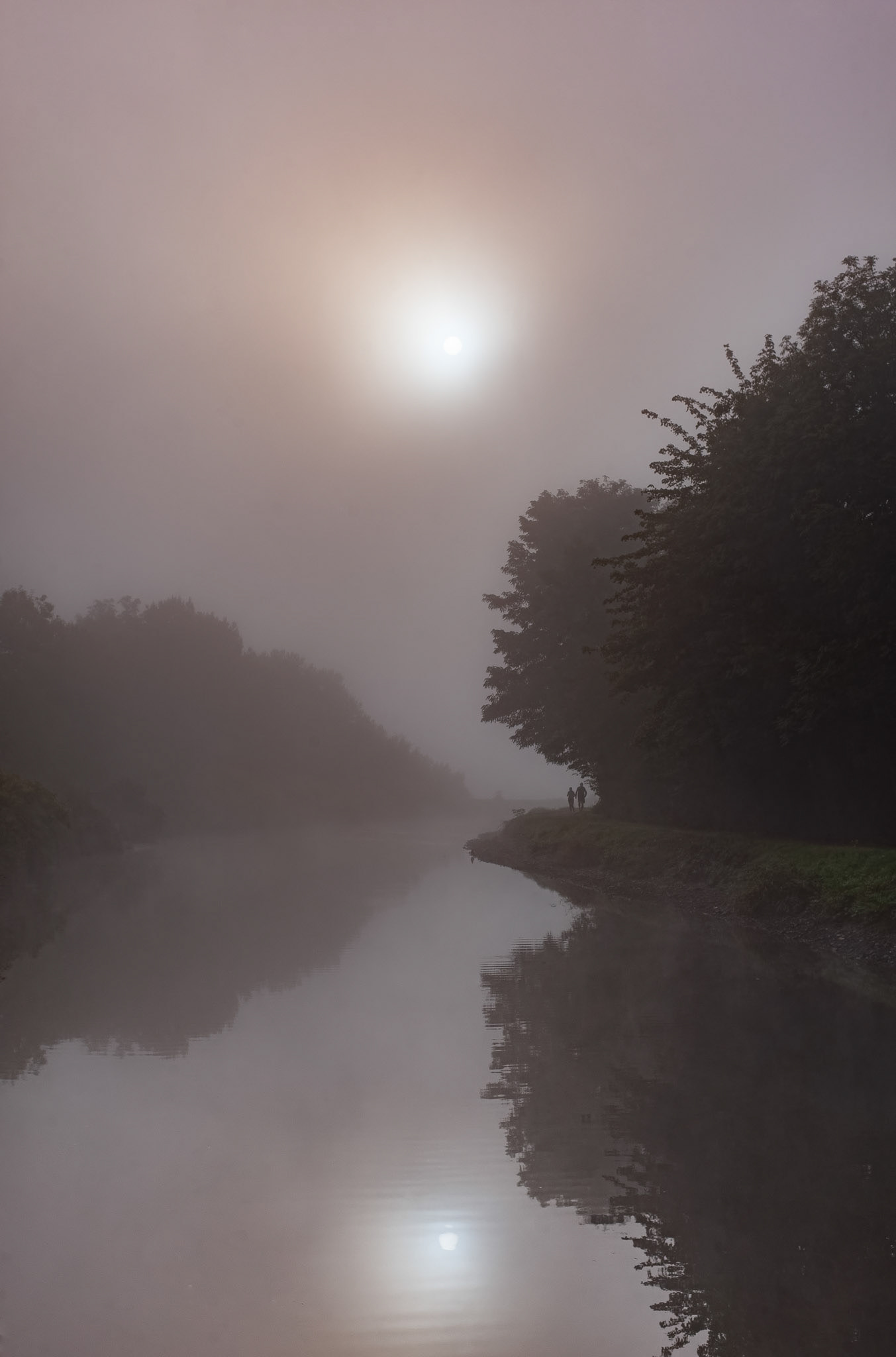 Moderator Award. March 2022.