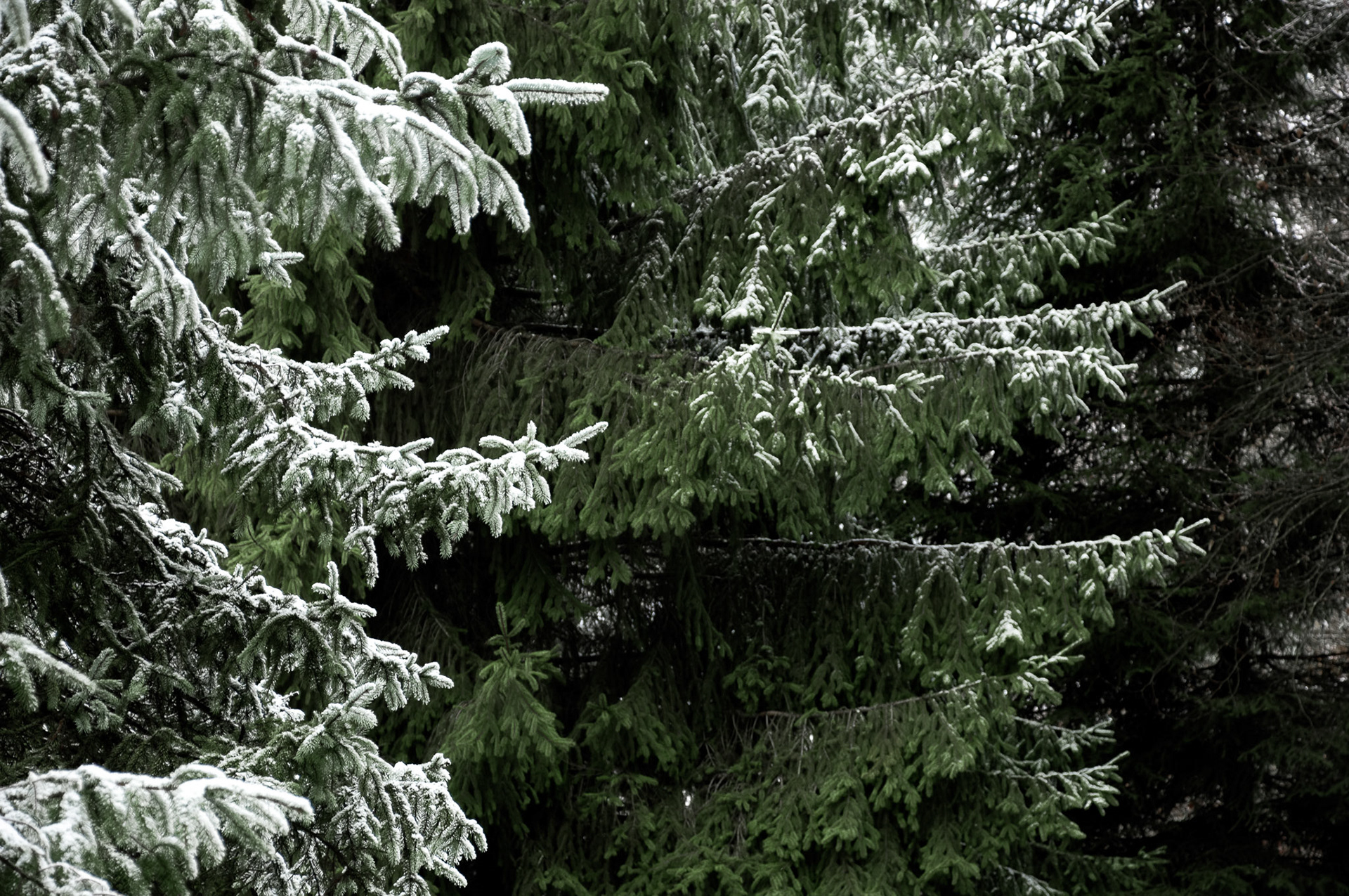 Won Treasure Award, December 2020.