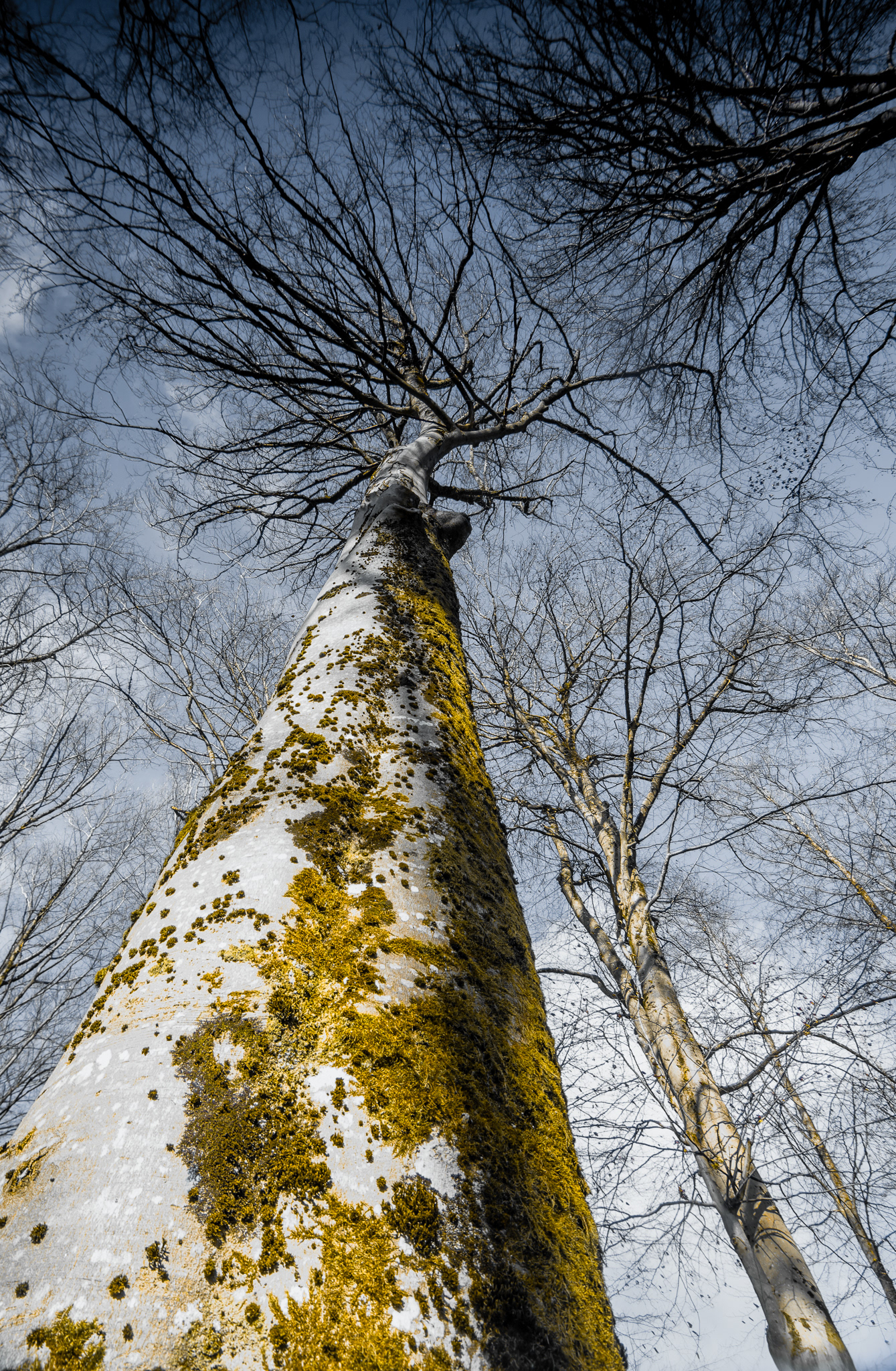 Featured on ViewBug, 2023