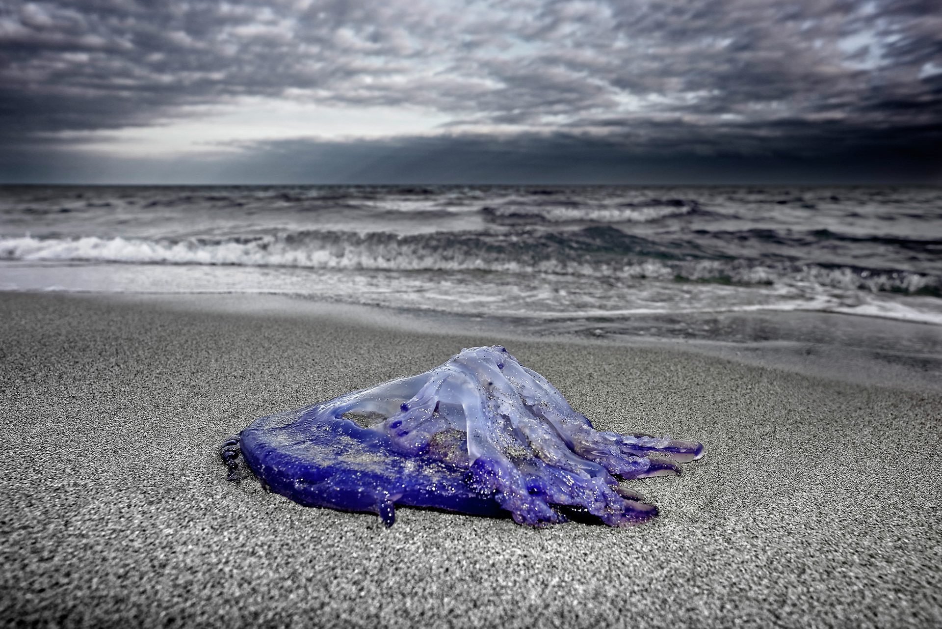 Finalist in Landscapes And Sand Photo Contest. 2017.