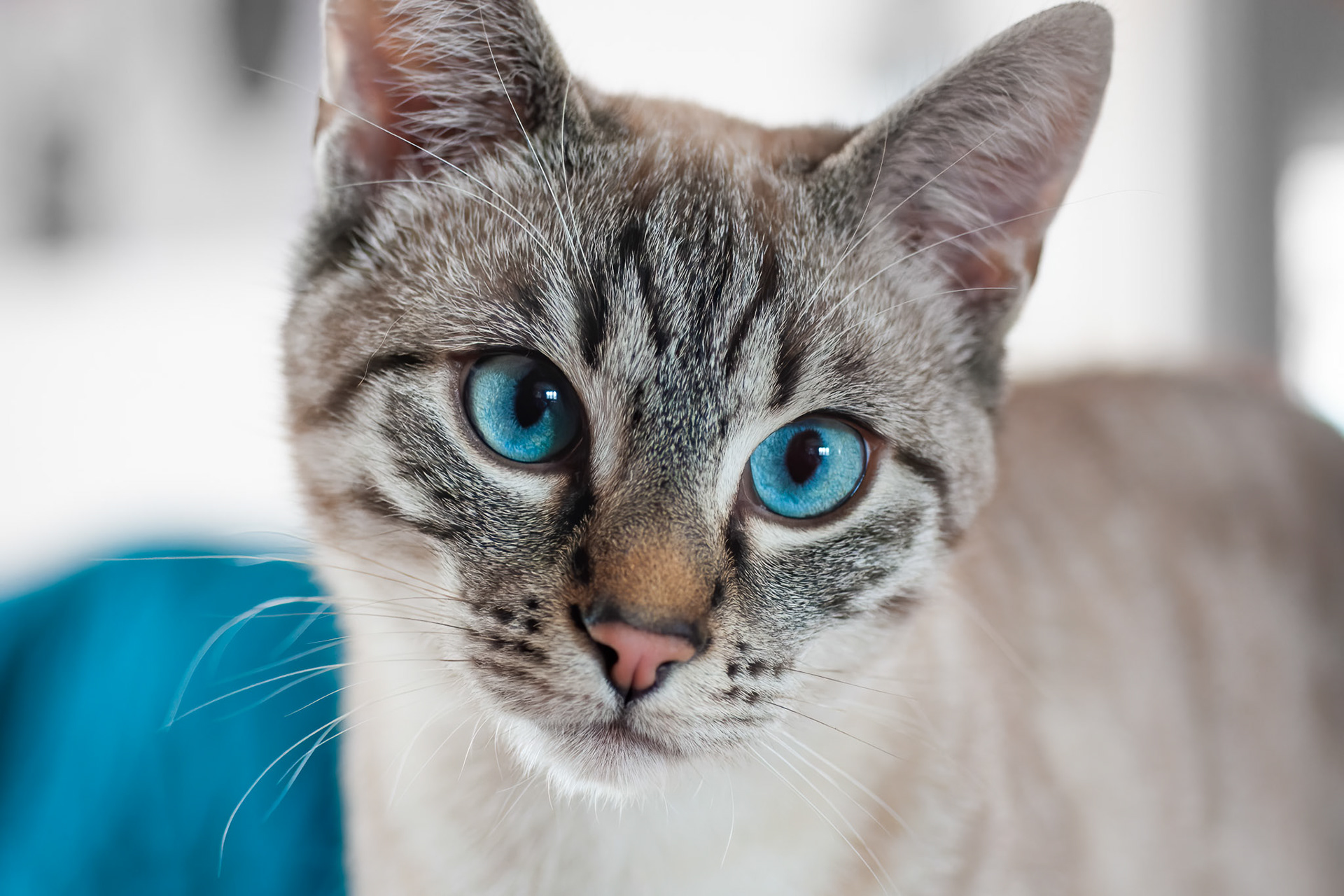 Creative Winter Award. December 2021.