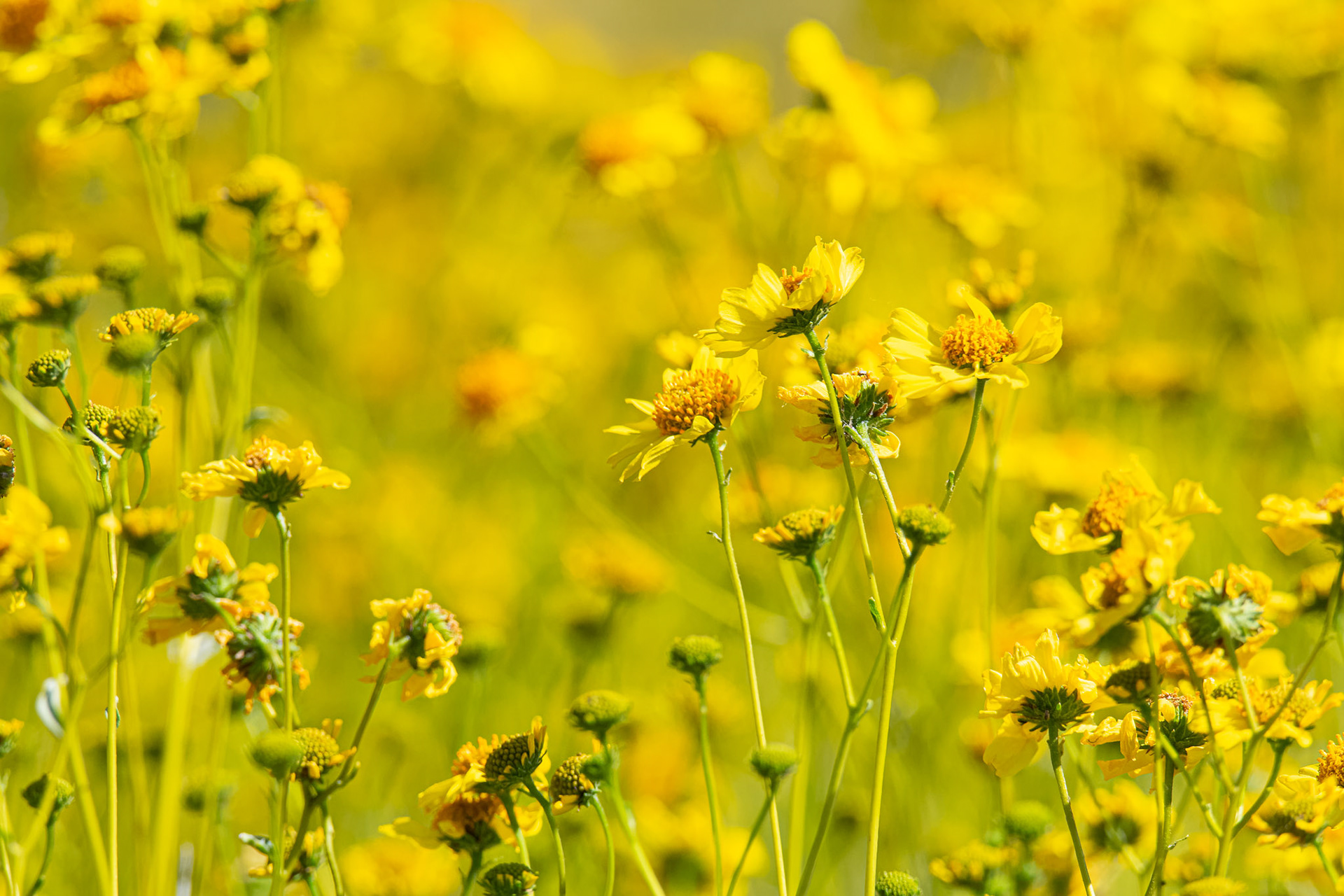 Featured, May 2020. Won Spring 21 award.