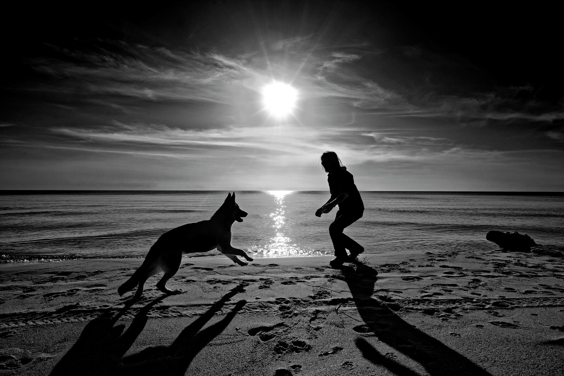 Featured, April, 2017. Won photo of the day, Black & White, July 2017. Finalist in Special Moments, February, 2019. Finalist #2 in You and your pet, May 2018. Finalist  #3 in Dogs do make best friends, June 2018.