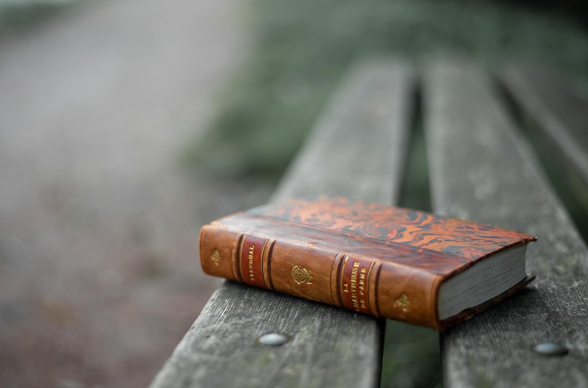 Finalist in "Photo of the week".