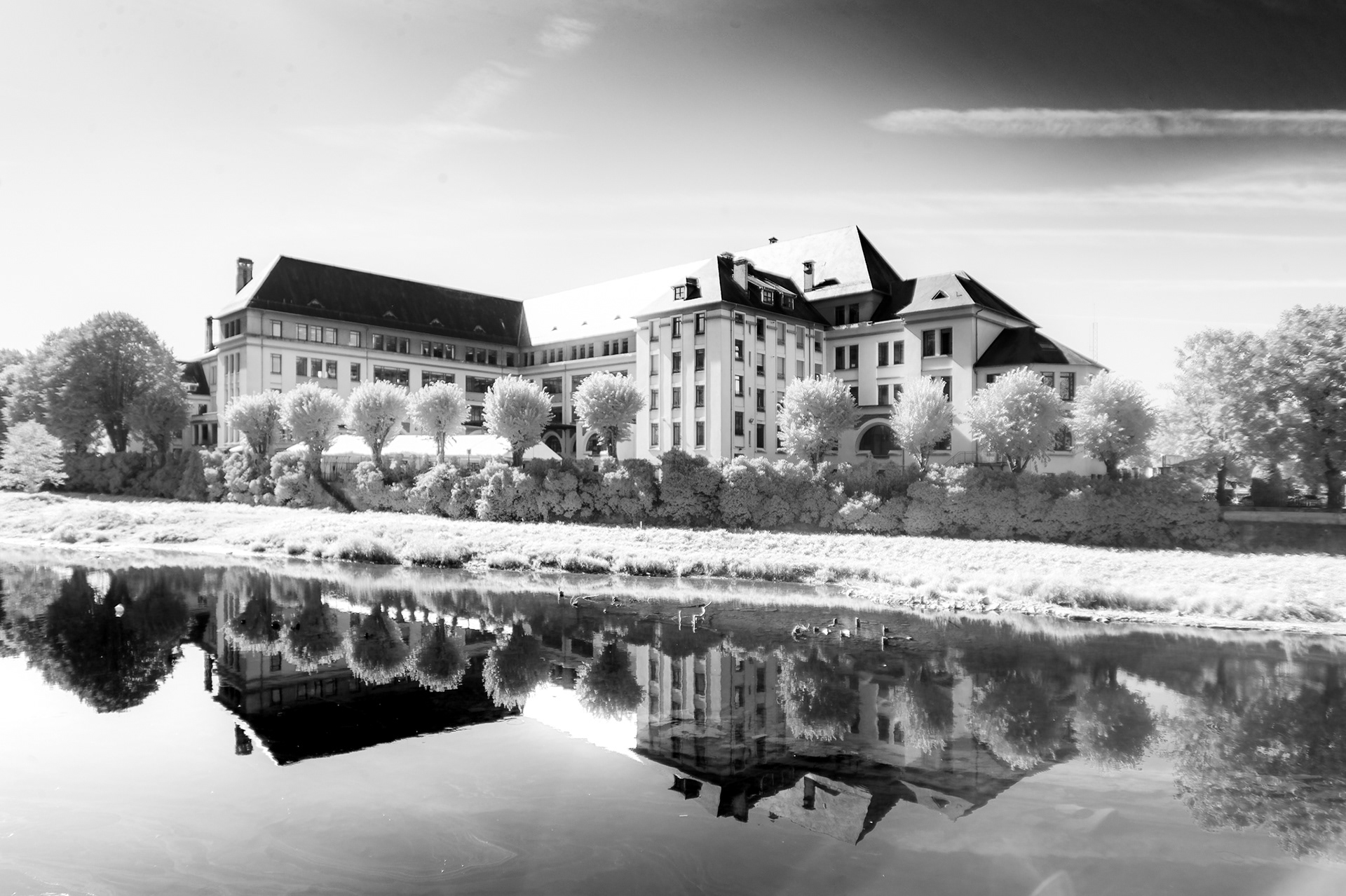 EcoVision Award 2024