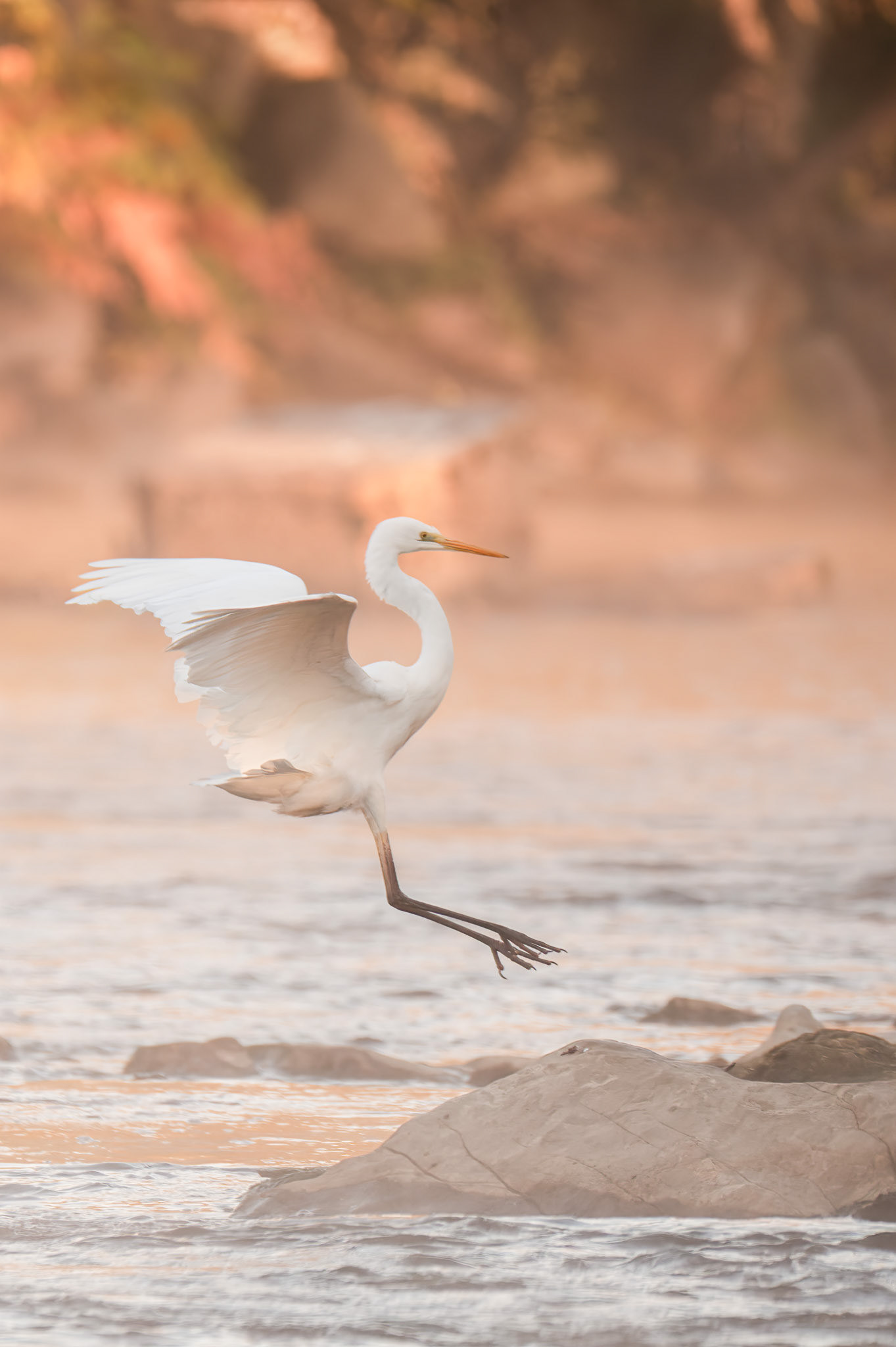 Curator's selection. November 2021.