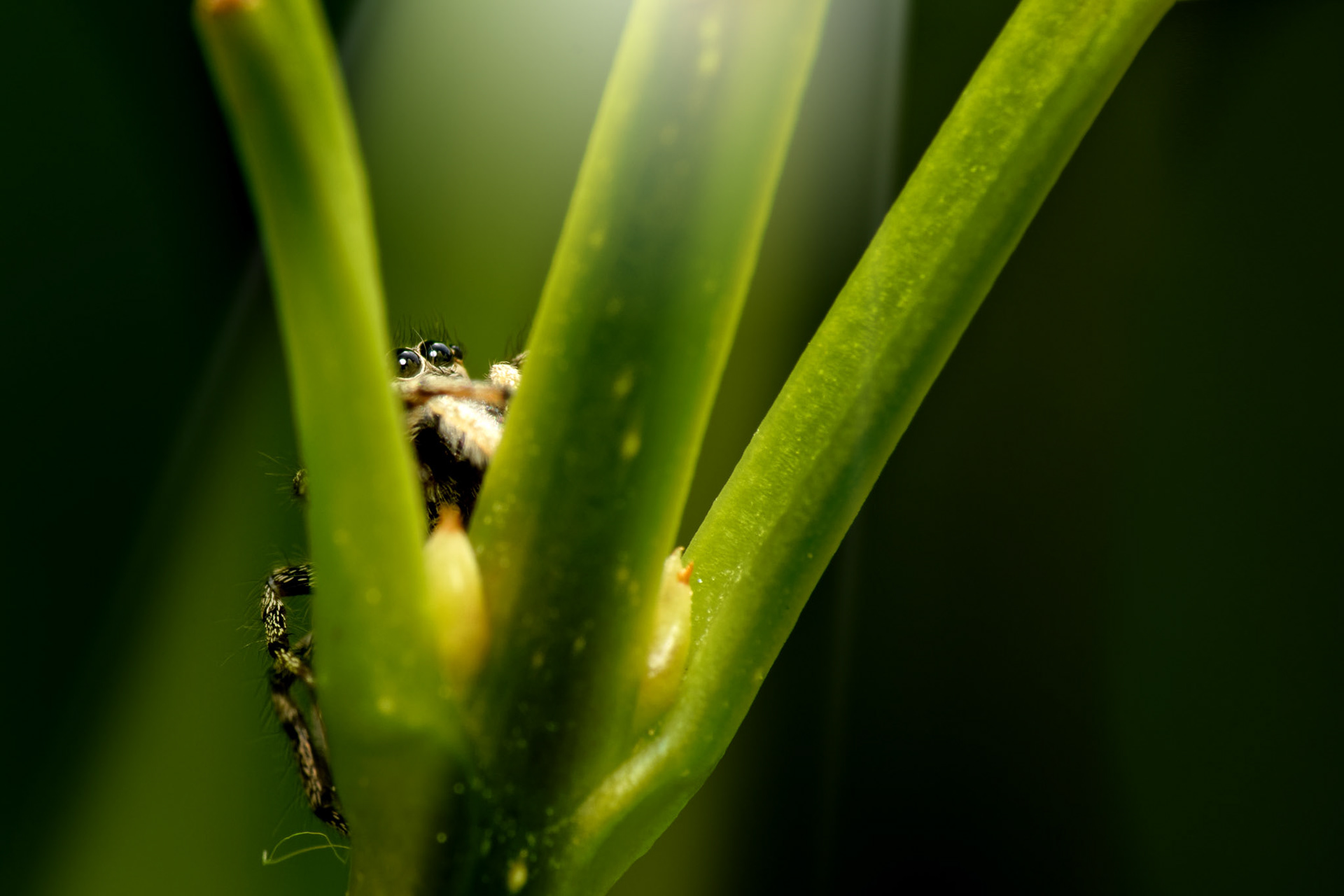 "This photo was a late comer to my top 10. Ultimately I think what drew me to it was the fact that it is an unusual composition which makes you linger, it makes you ponder the scene and that, of course, is what we're all ultimately trying to do with every capture. Brilliant!" Doug Richardson @Photocrowd.