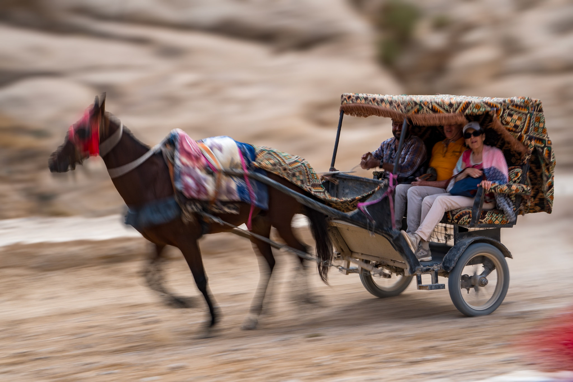 Petra Carriage Ride