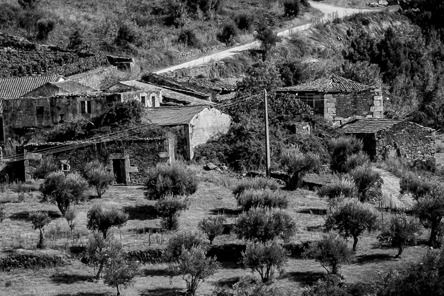 the ancient farmhouses