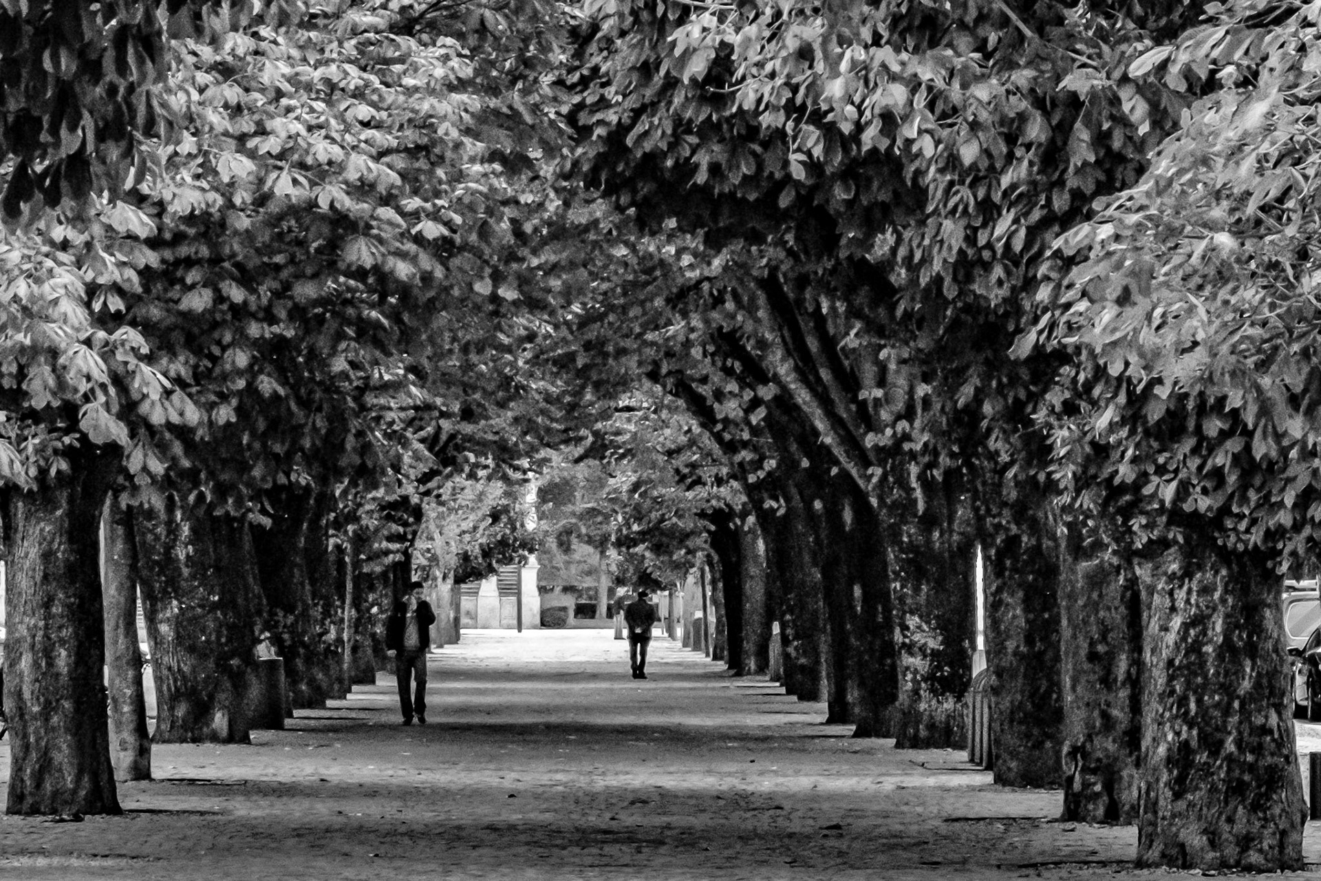 the tunnel of the avenue