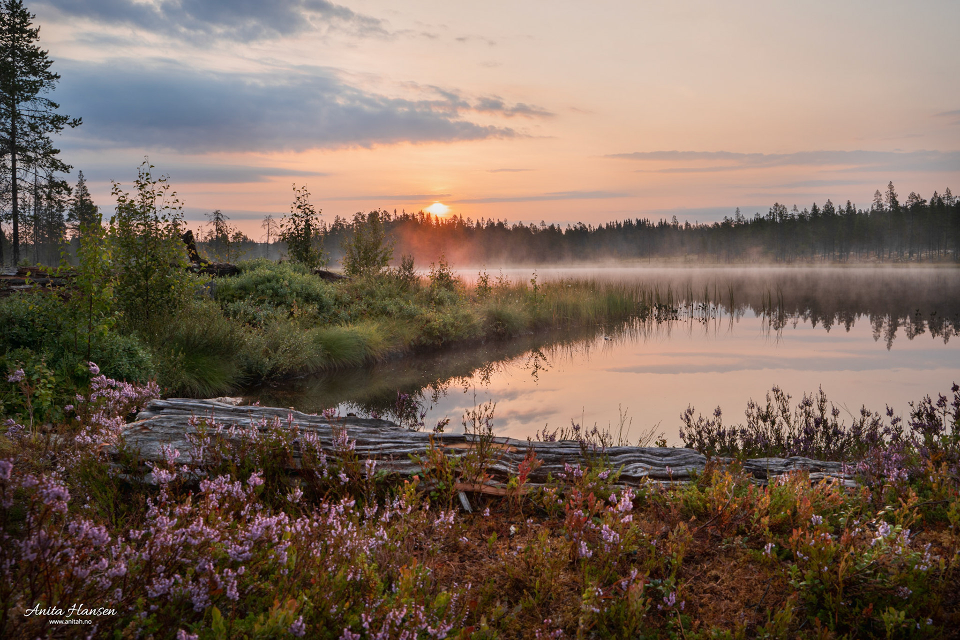 Soloppgang ved Koppang