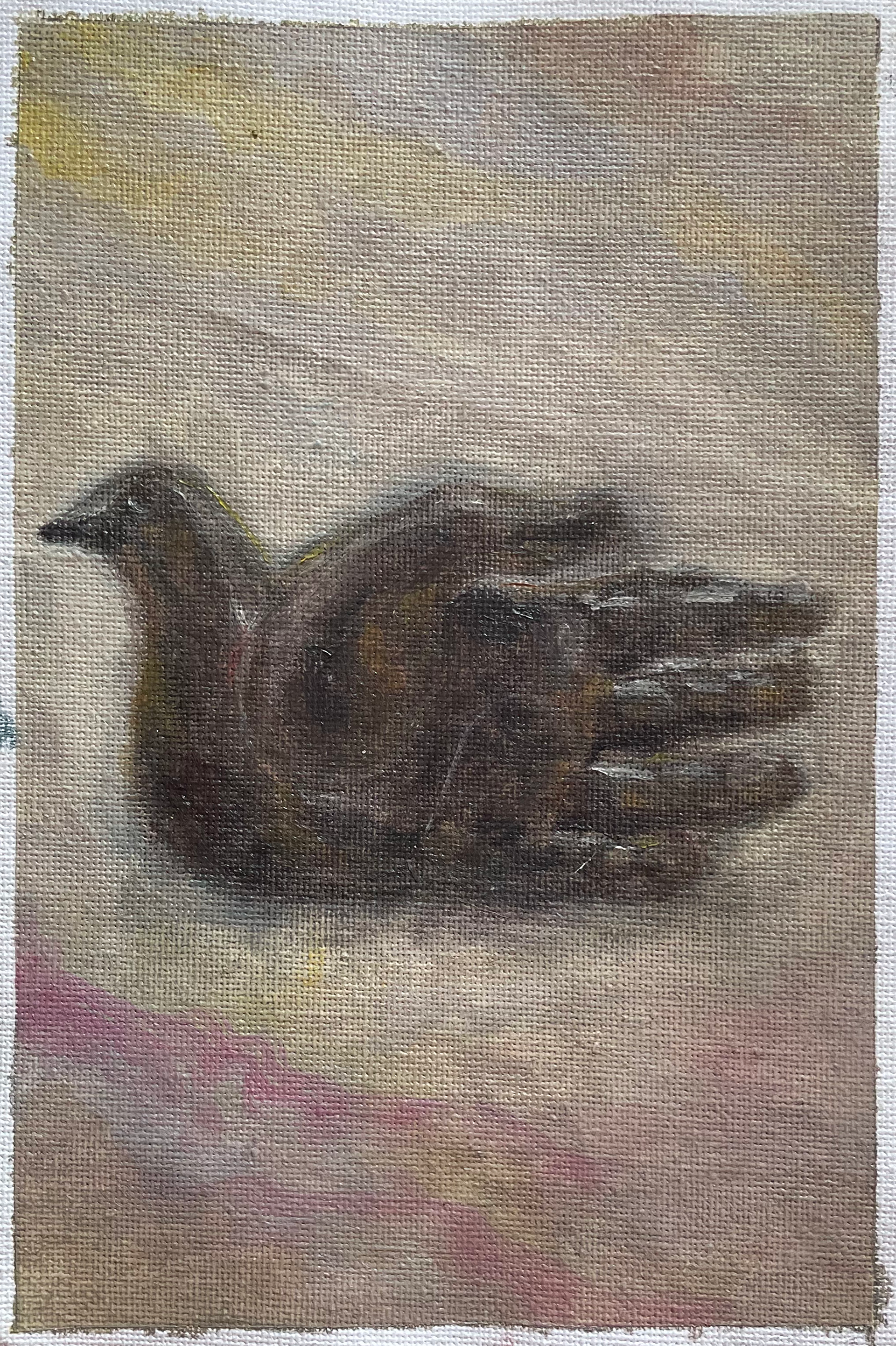 Chema Iglesias Pintura - Escultura "Ave quiromántica de Málaga"