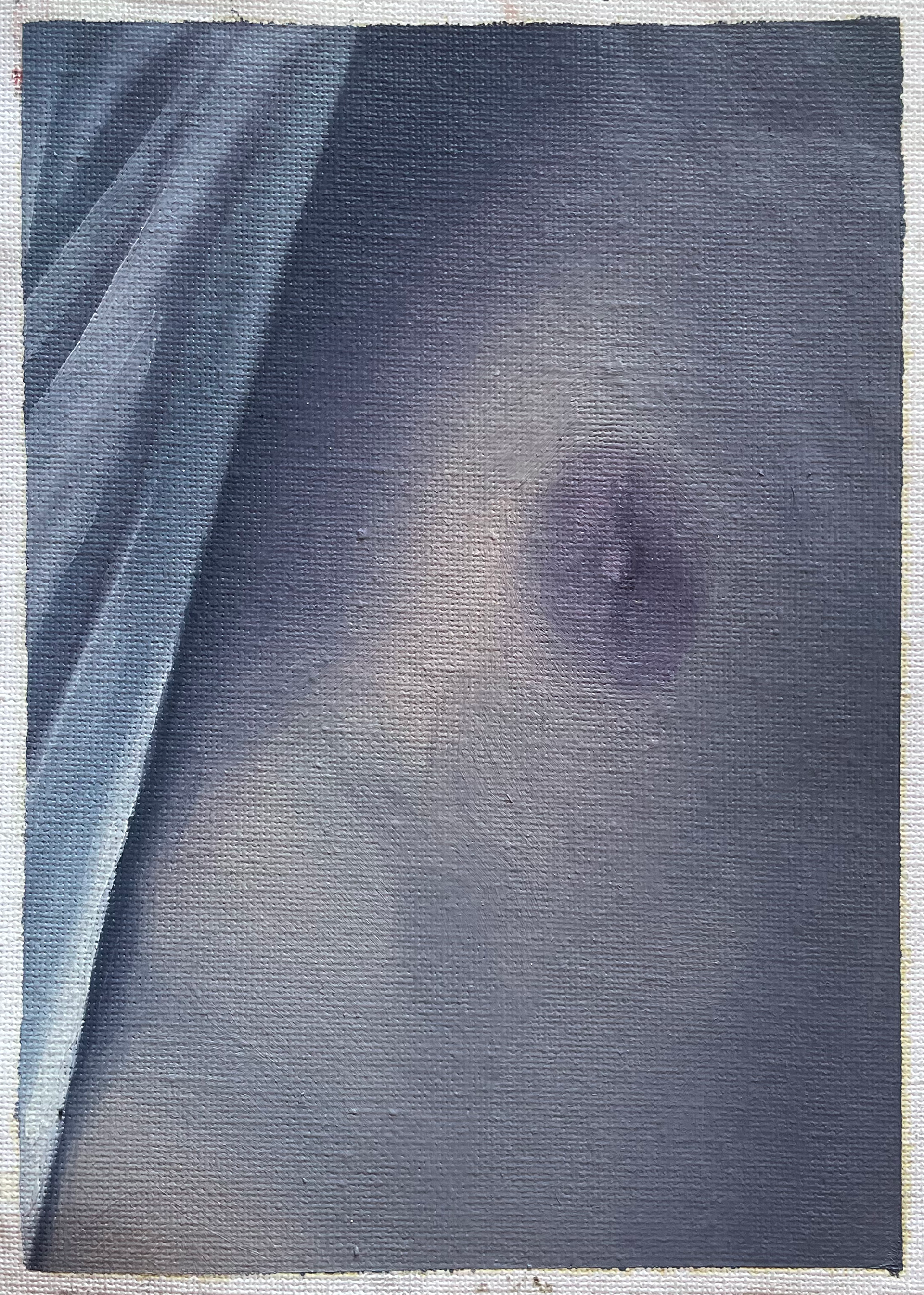 Chema Iglesias Pintura - Pezón