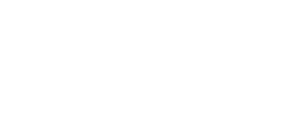 Guy Larra
