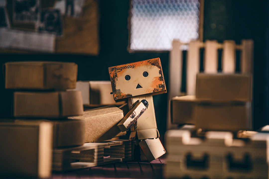 danbo danboard toyphotography toyphoto 