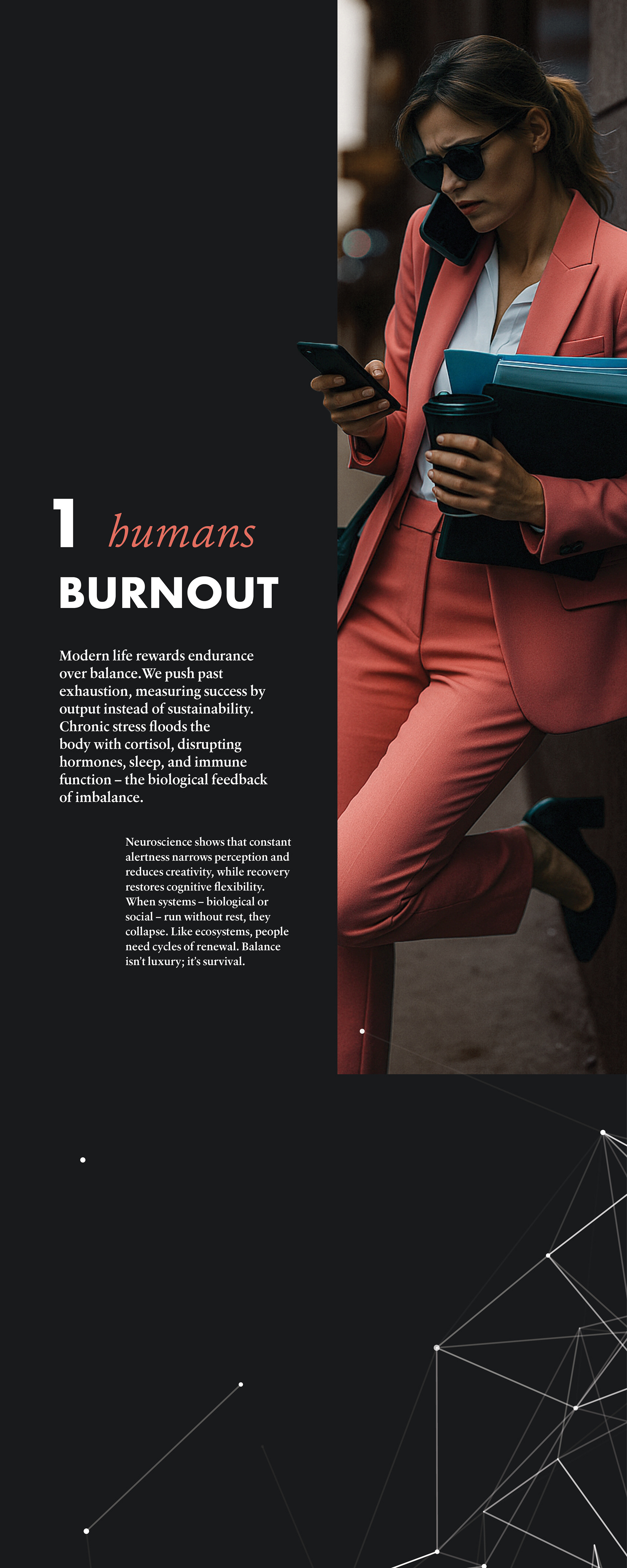 Flamingo panel - side 2