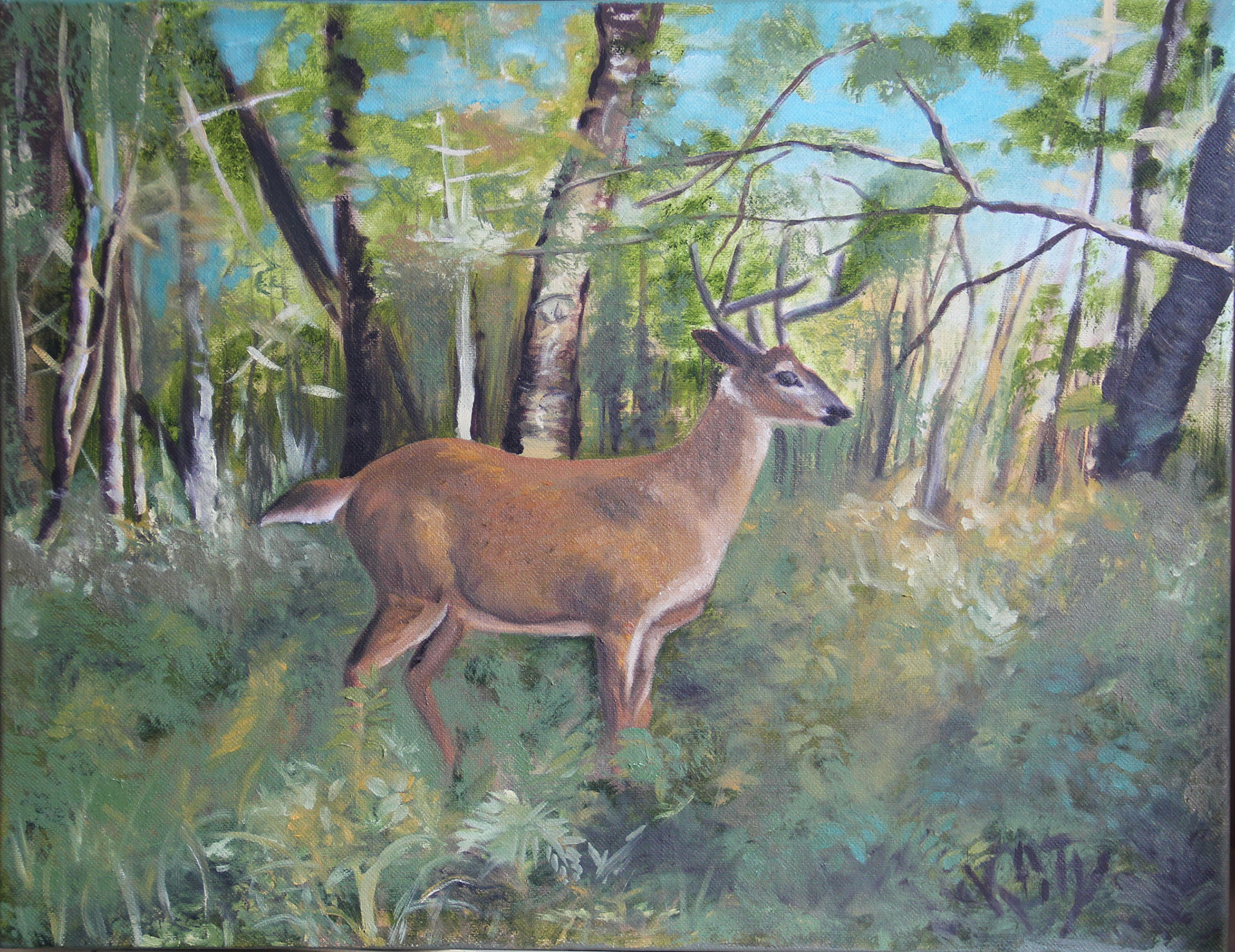 "Deer" Oil on Canvas