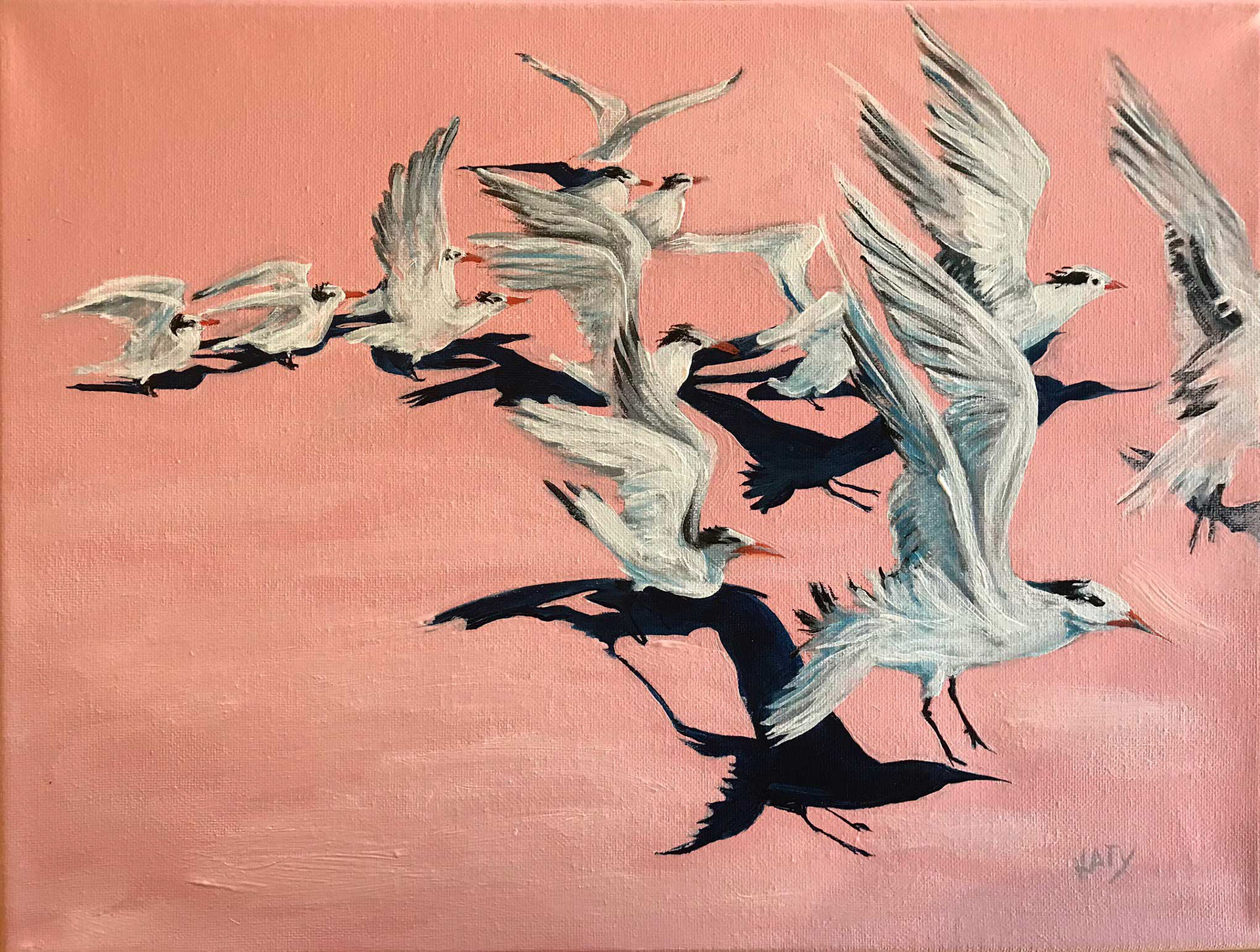 Royal Terns on Pink, Acrylic on Canvas 16 x 12