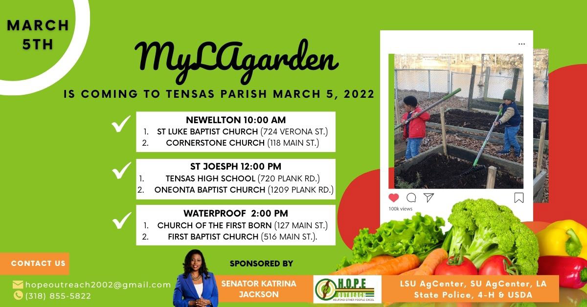 Social Media Flyer