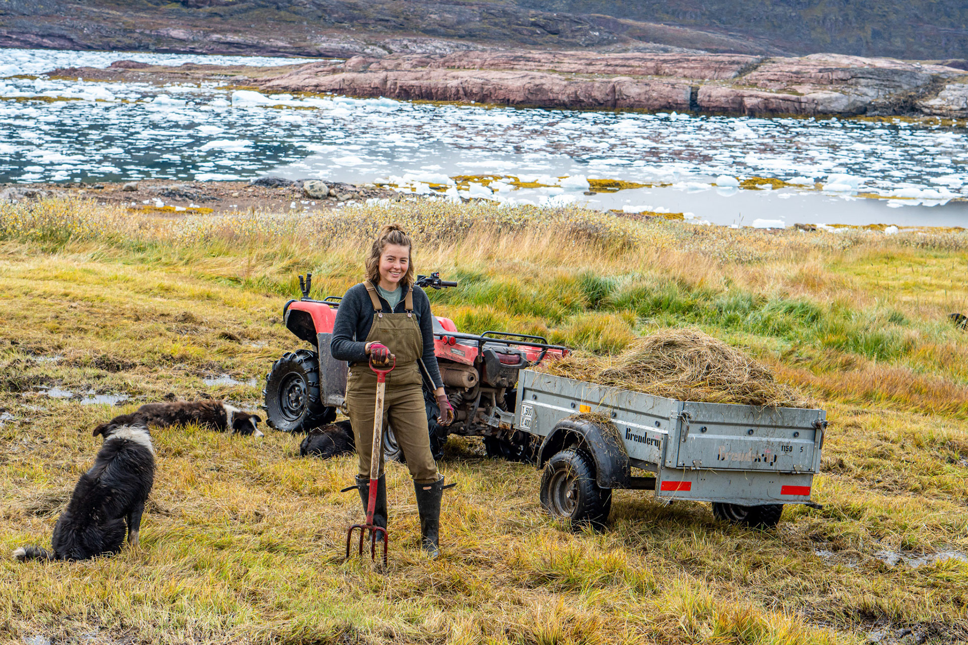 And helped collect some hay with Carson and Qupaluna. (Photo by Carson Brown)