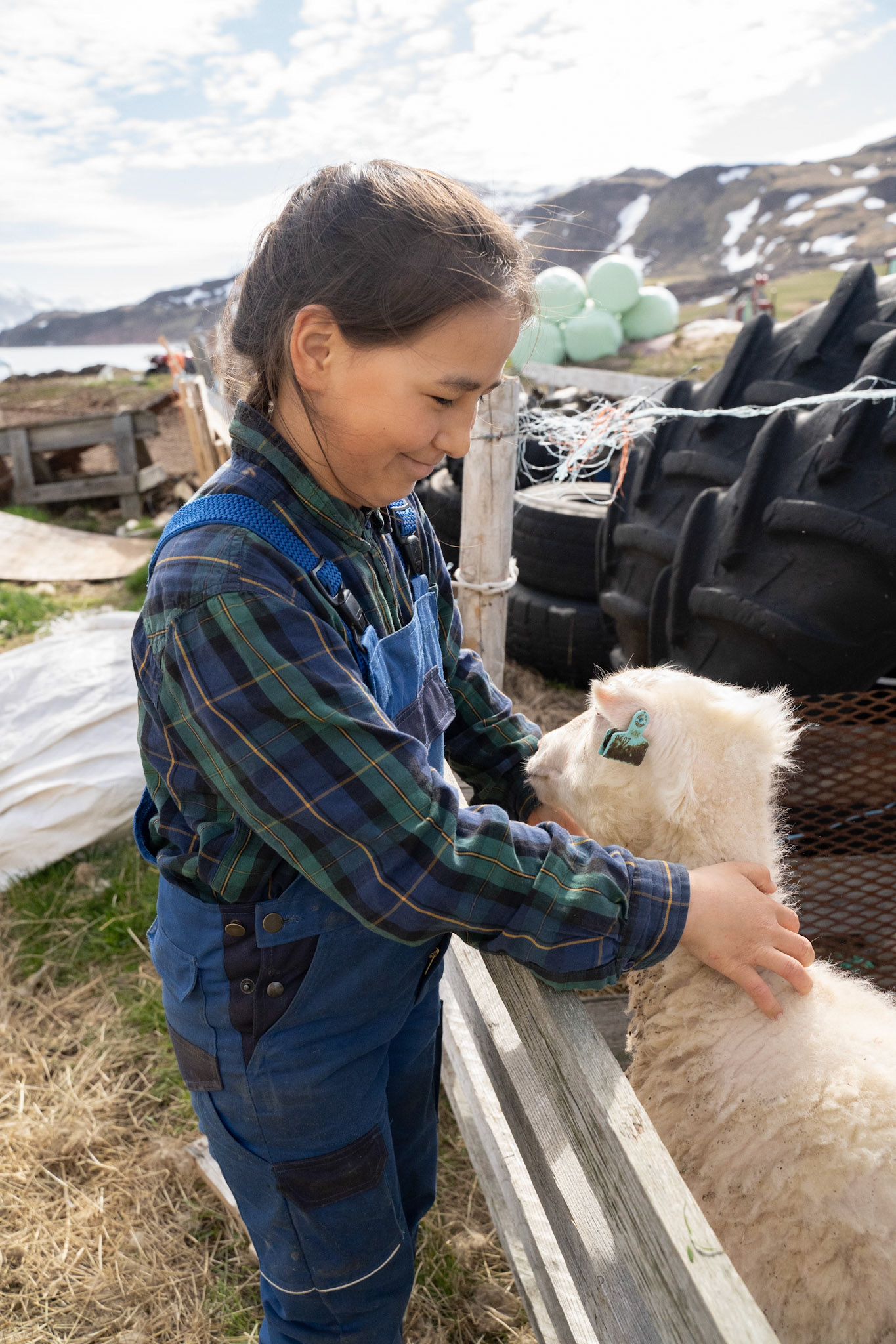 Kira with "Elna's sheep." For fun, the family picks bottlefeds and competes to see who's sheep get the best lambing record -- a total score taking into account number of lambs, health of lambs, and weight of lambs.