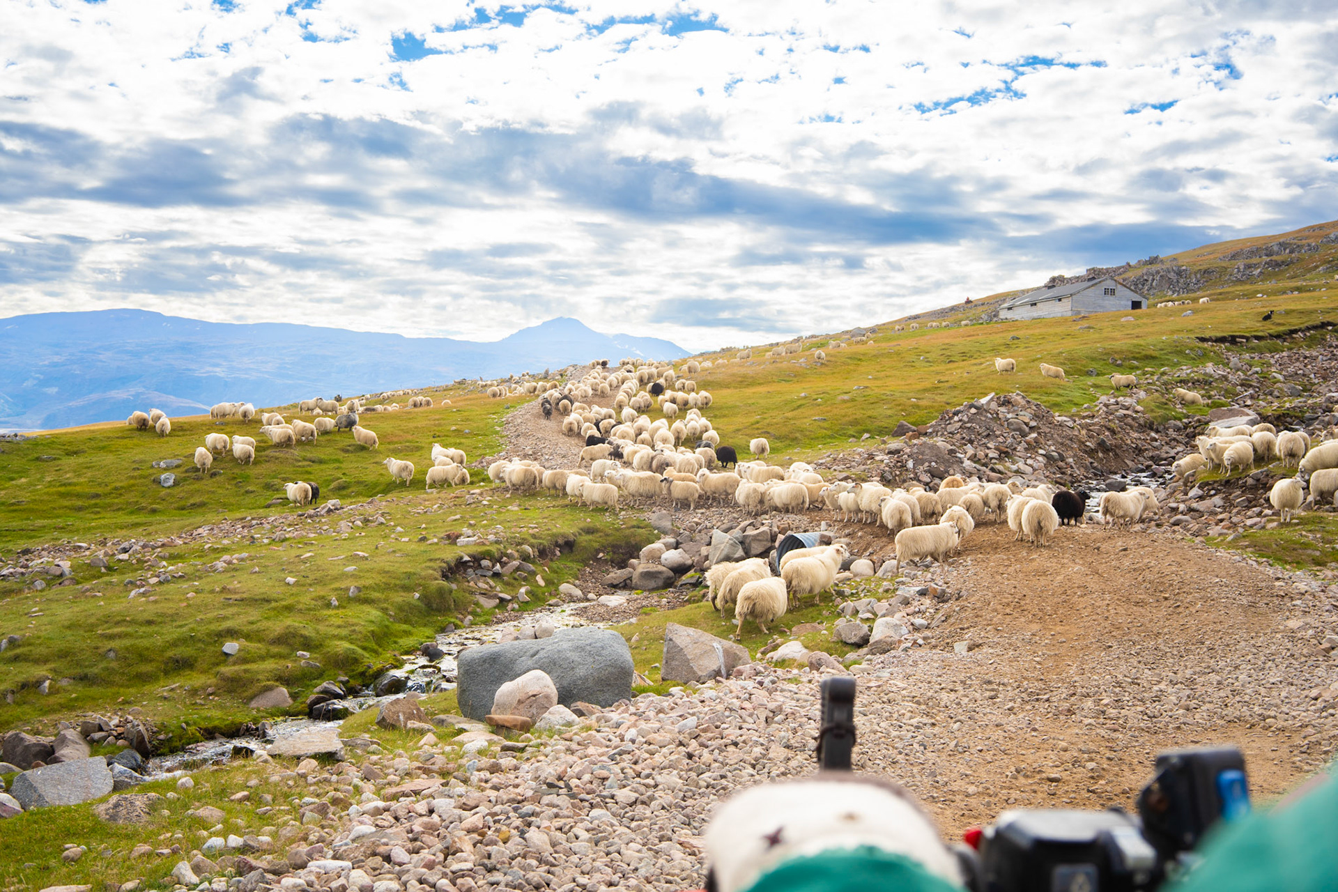 Hopping on Carson's atv for a ride. I spent most of the time herding on foot, on steep sections the atvs and horses can't cover.