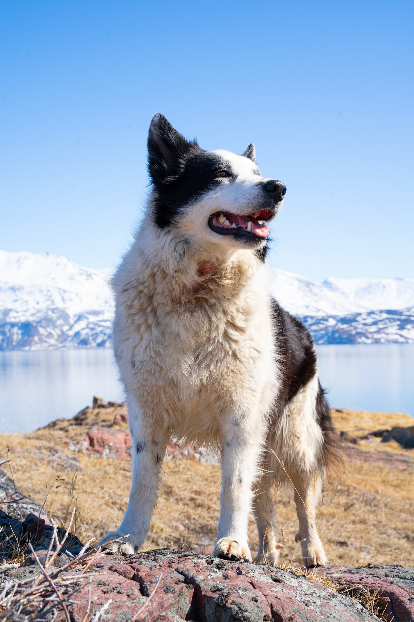 Aline looking over her kingdom.
