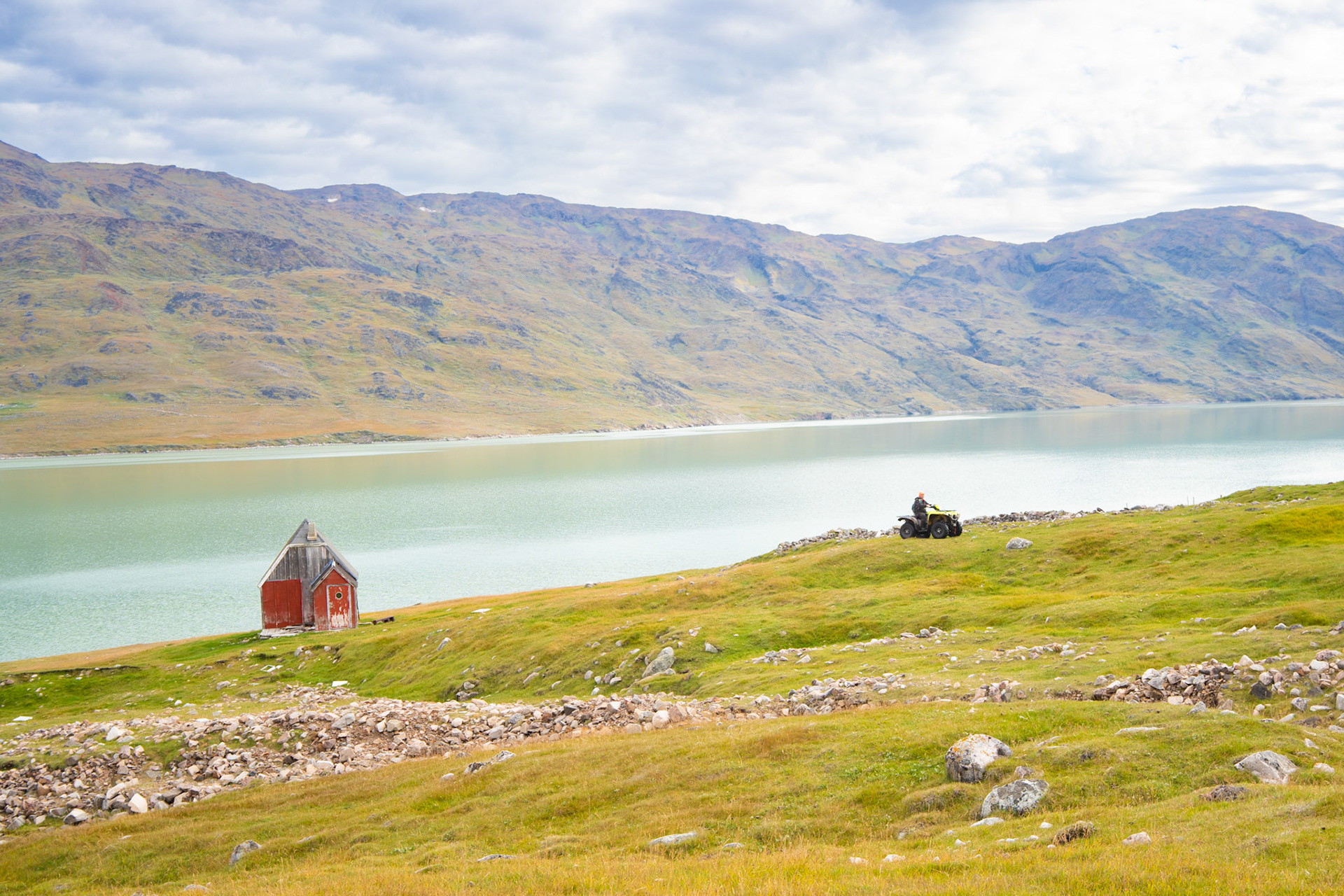 Sheep herding outside of Qassiarsuk. Kilaasi, owner of Tasiusaq, on his atv.