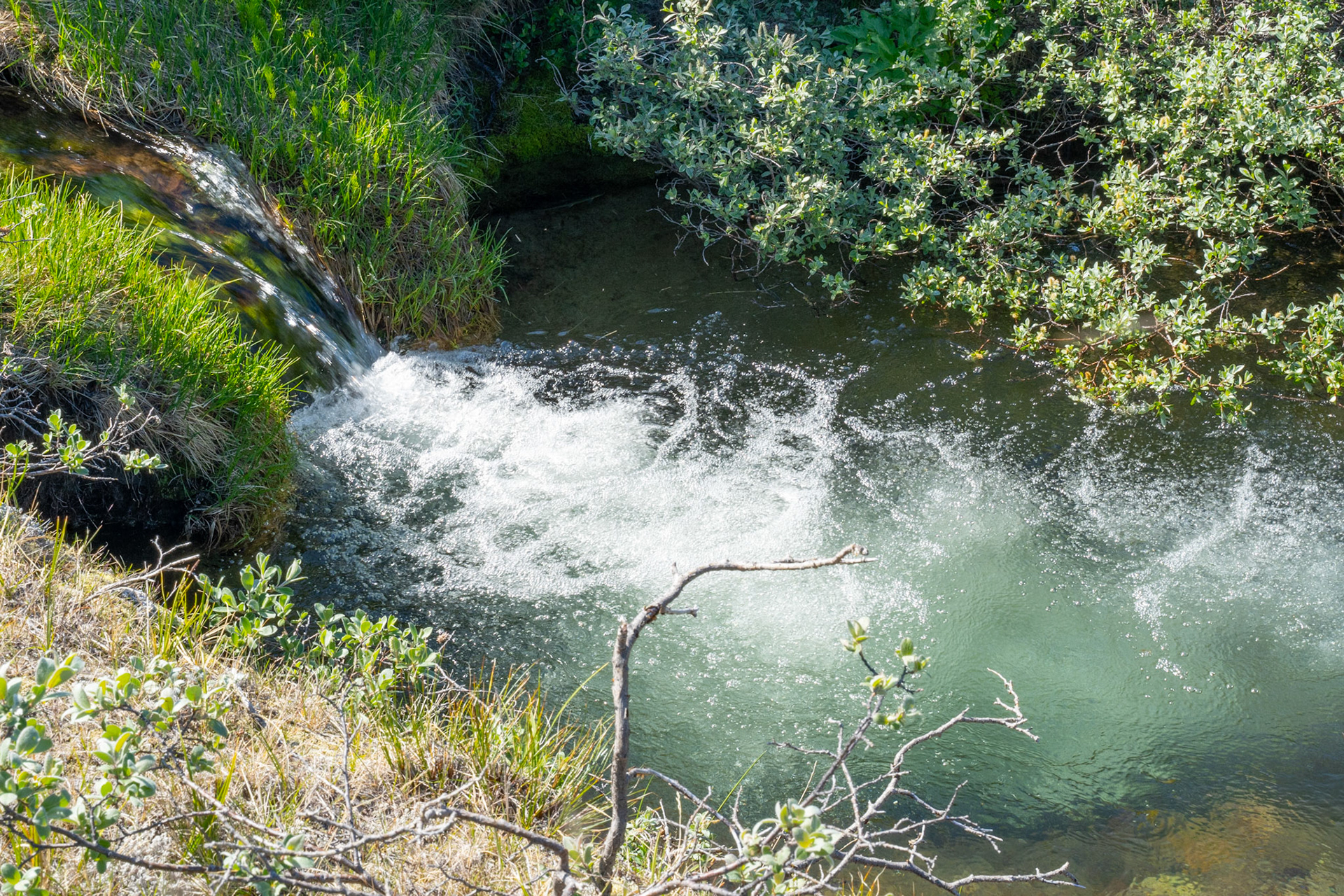 A pond in a cold water stream that was a perfect dip on a hot day.