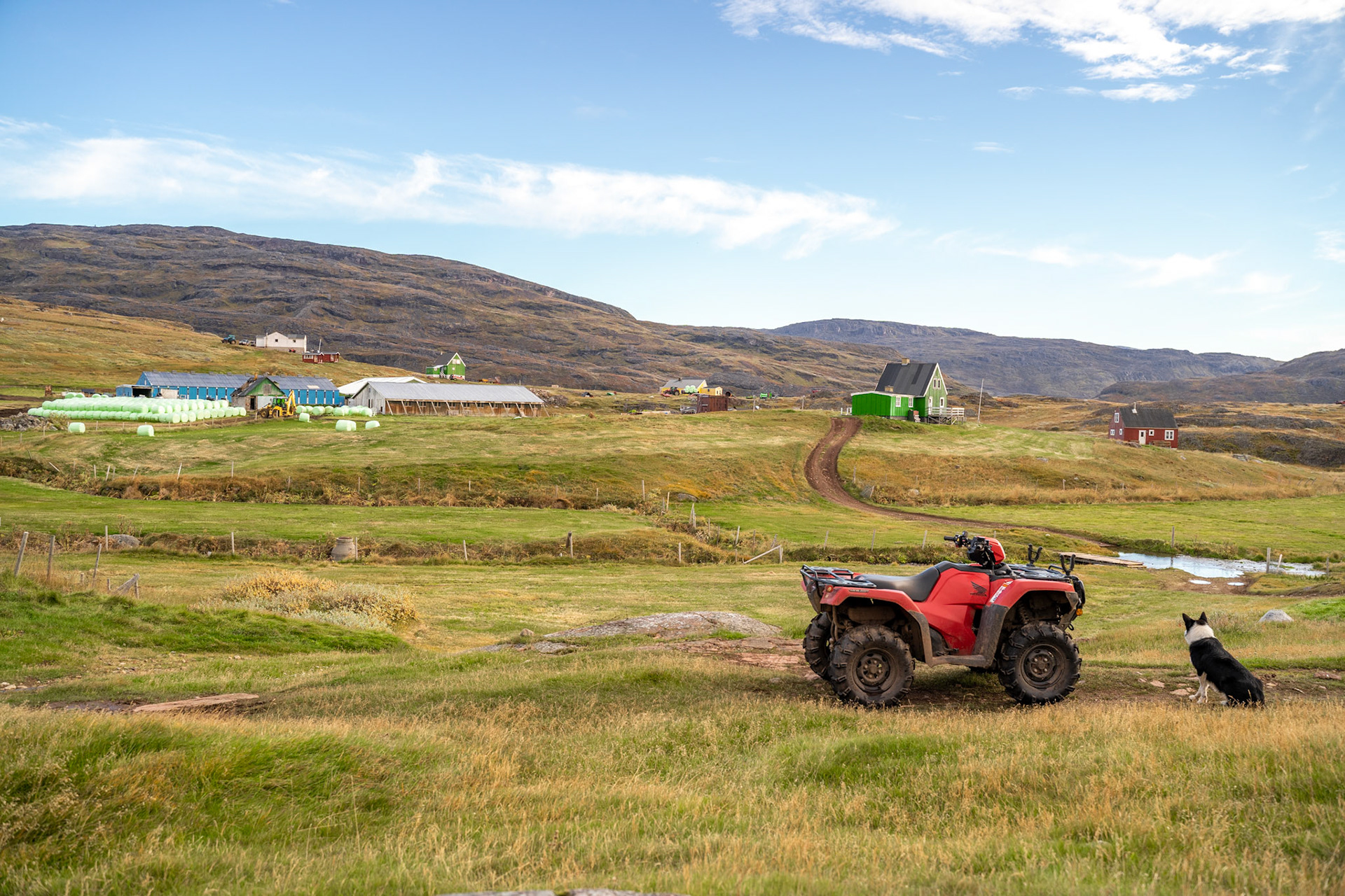 A sheep dog and the atv at Tasiusaq.