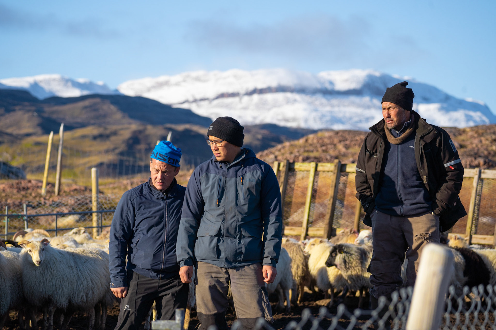 Aka, Kuluk, and Carl in the pen outside Sillisit. (Photo by Carson Brown)
