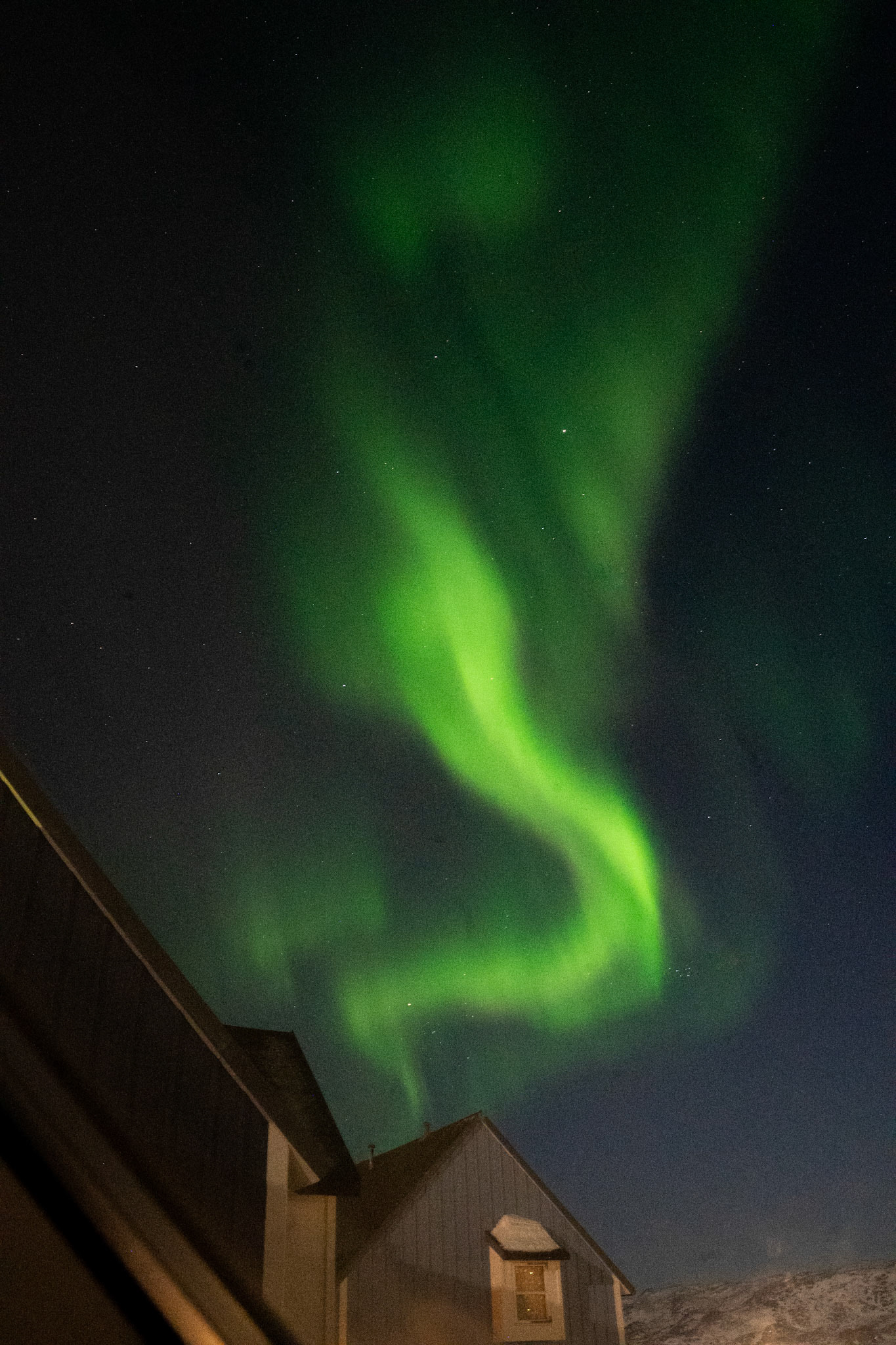 The northern lights above Qaqortoq.