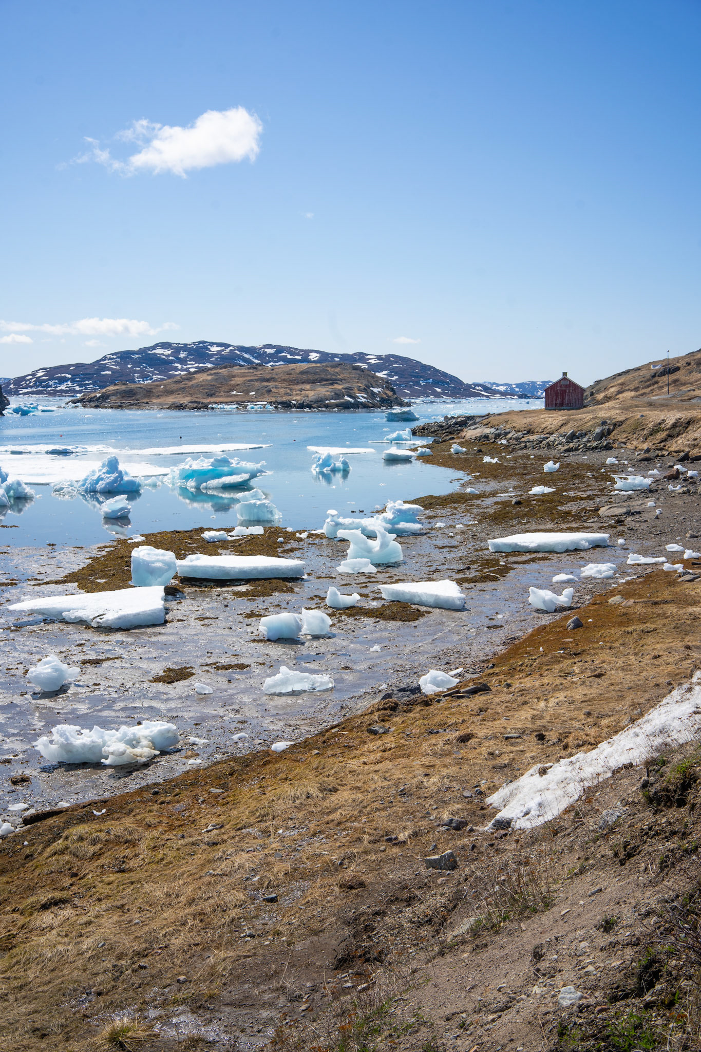 A grocery trip to Narsaq with much ice in Tunulliarfik Fjord.