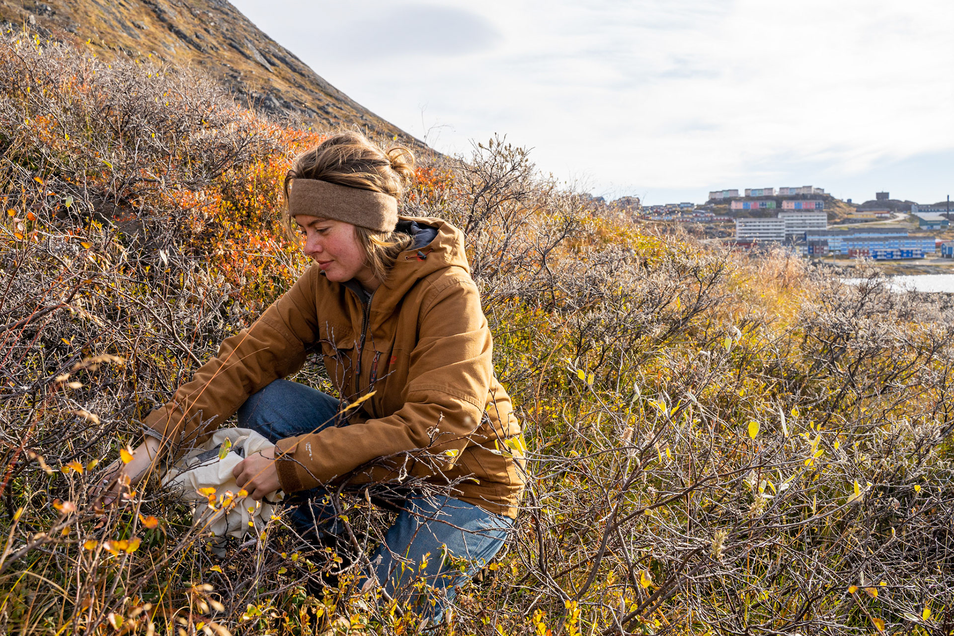 On the first step of the journey of departure, travelled to from Qassiarsuk to Qaqortoq. In Qaqortoq, Carson and I went out picking qajaasat (labrador tea). (Photo by Carson Brown)