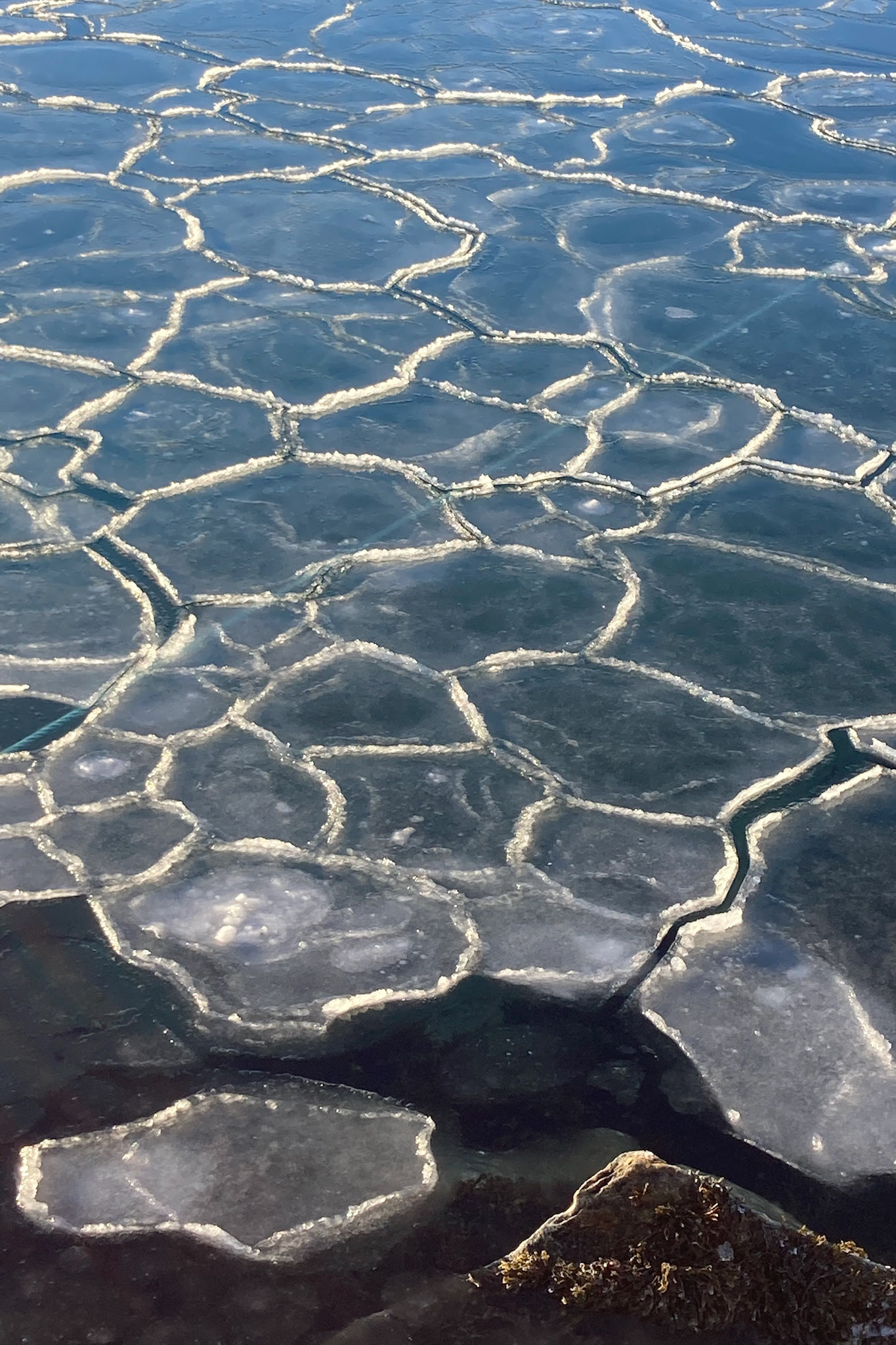 Broken ice in the harbor. (Taken on my phone)