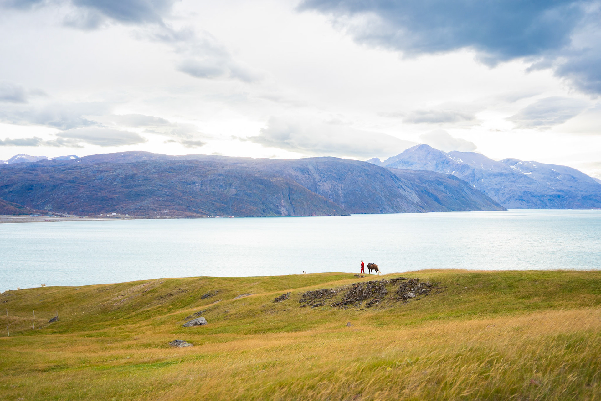 Nukassi and his horse during herding.