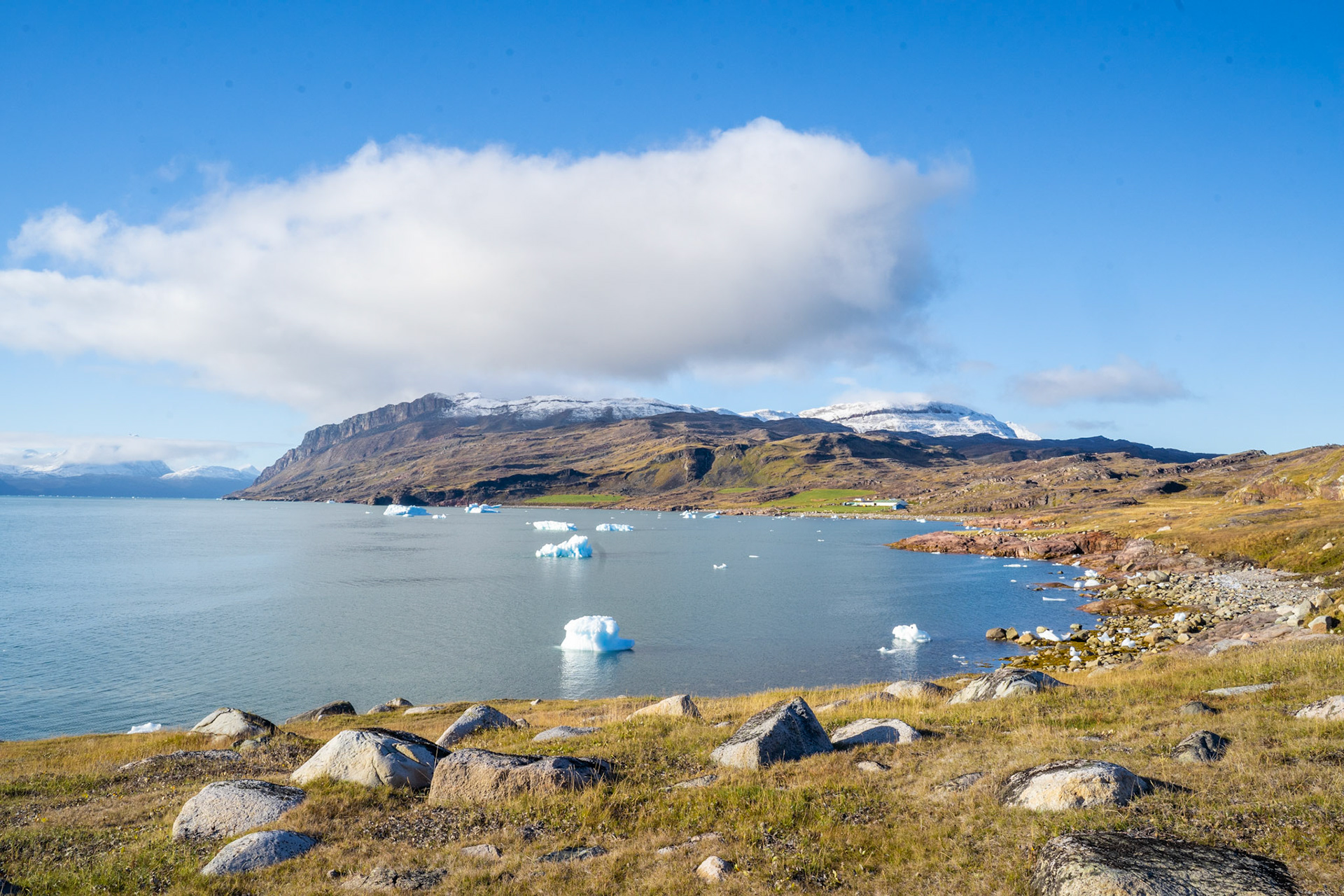 Sillisit and a big Nope-esque cloud on sheep-loading day.