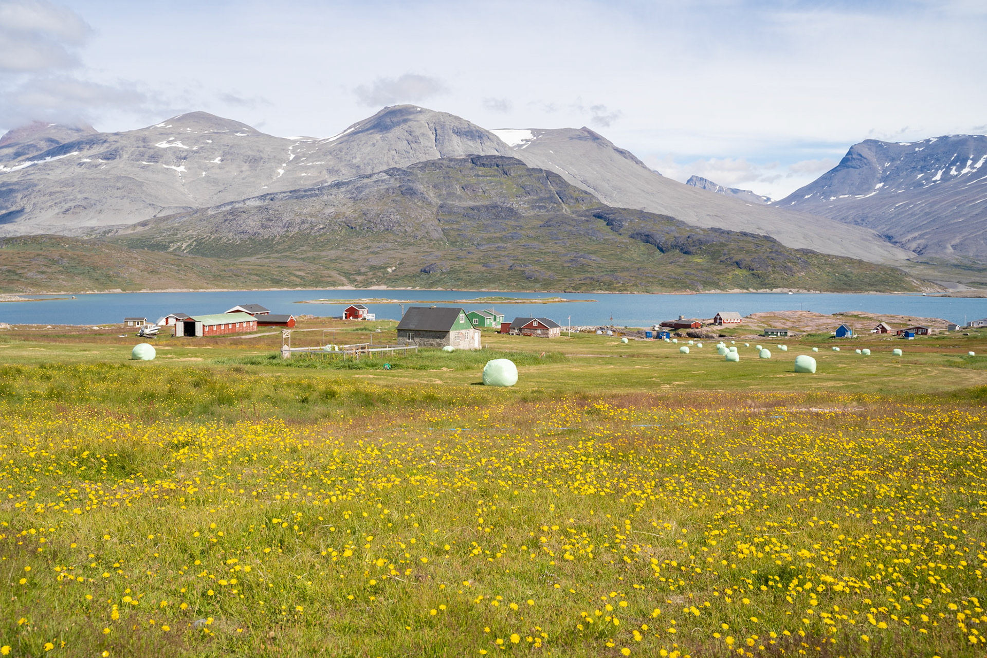 The town of Igaliku.
