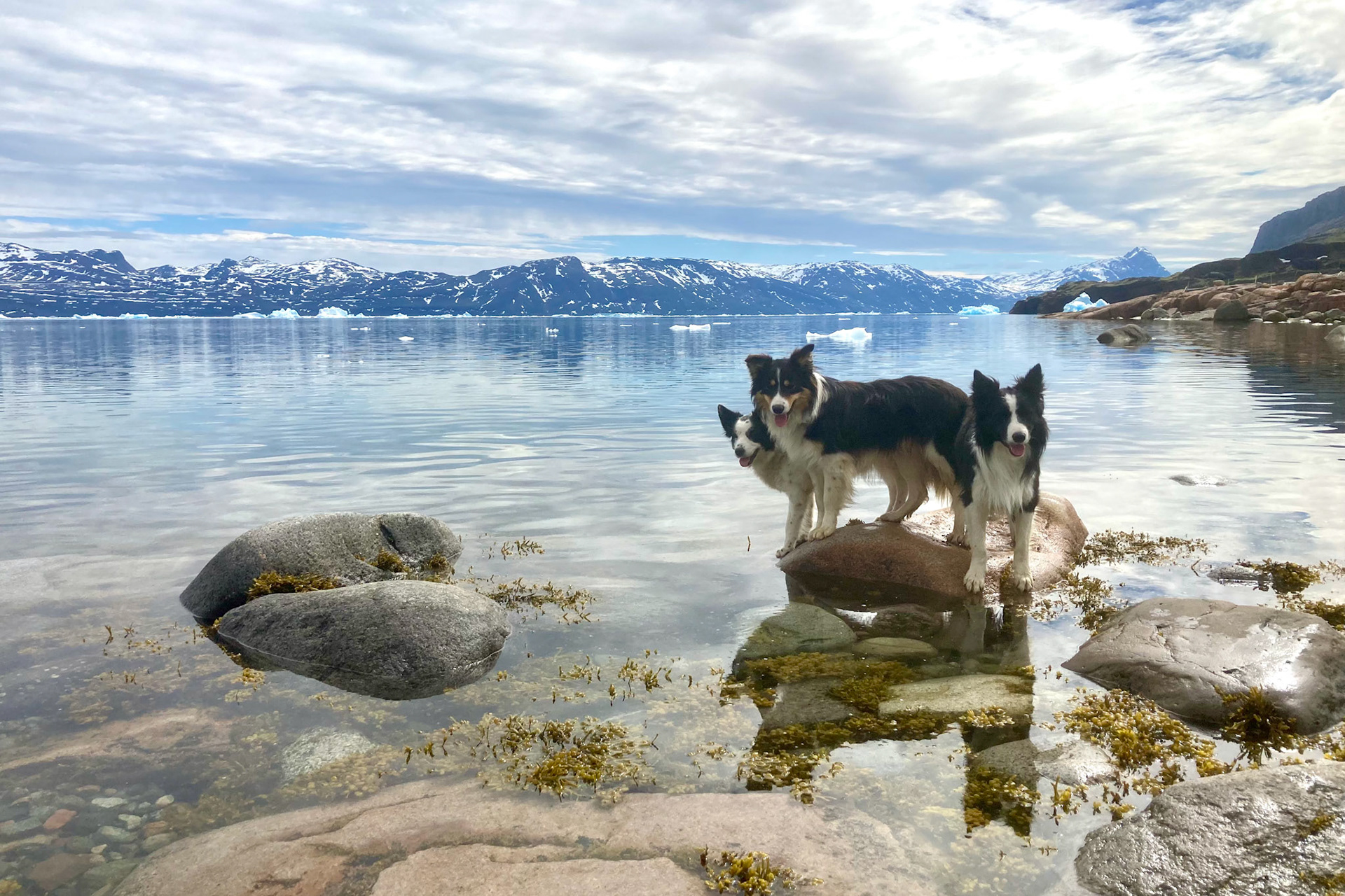 One rock is enough if you're best friends! Alina, Kaju, and Ben. (Taken on my phone)
