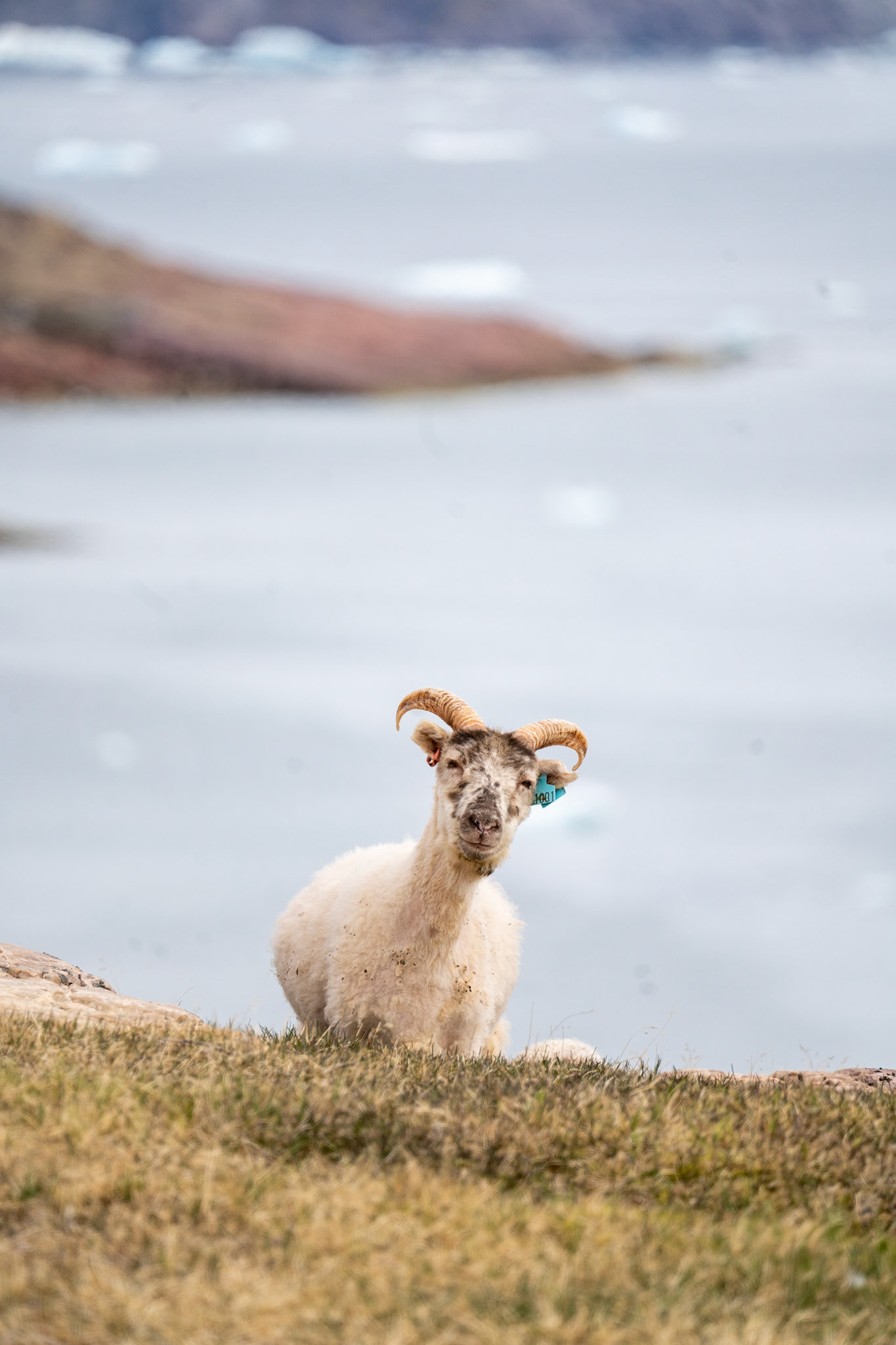 A mom enjoying the freedom of the mountains.