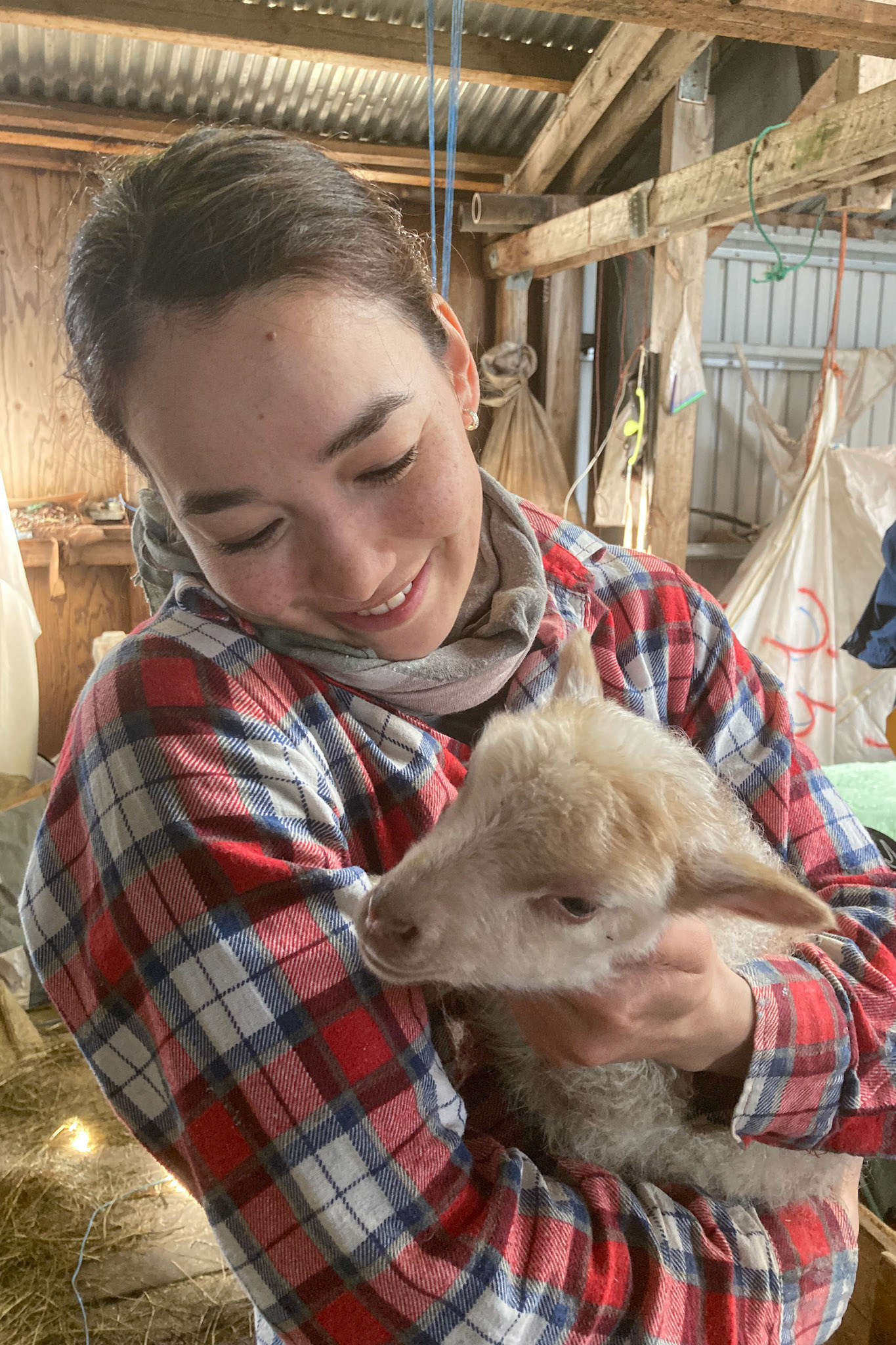 Avioq with Blossom, the first bottlefed. (Taken on my phone)