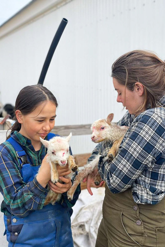 Kira and I holding two tiny lambs. Both were born very underweight and needed to be bottlefed and artificially warmed. Both of these lambs became year-long bottlefeds. Sillisit ended up with 8 bottlefed lambs for 2022.
