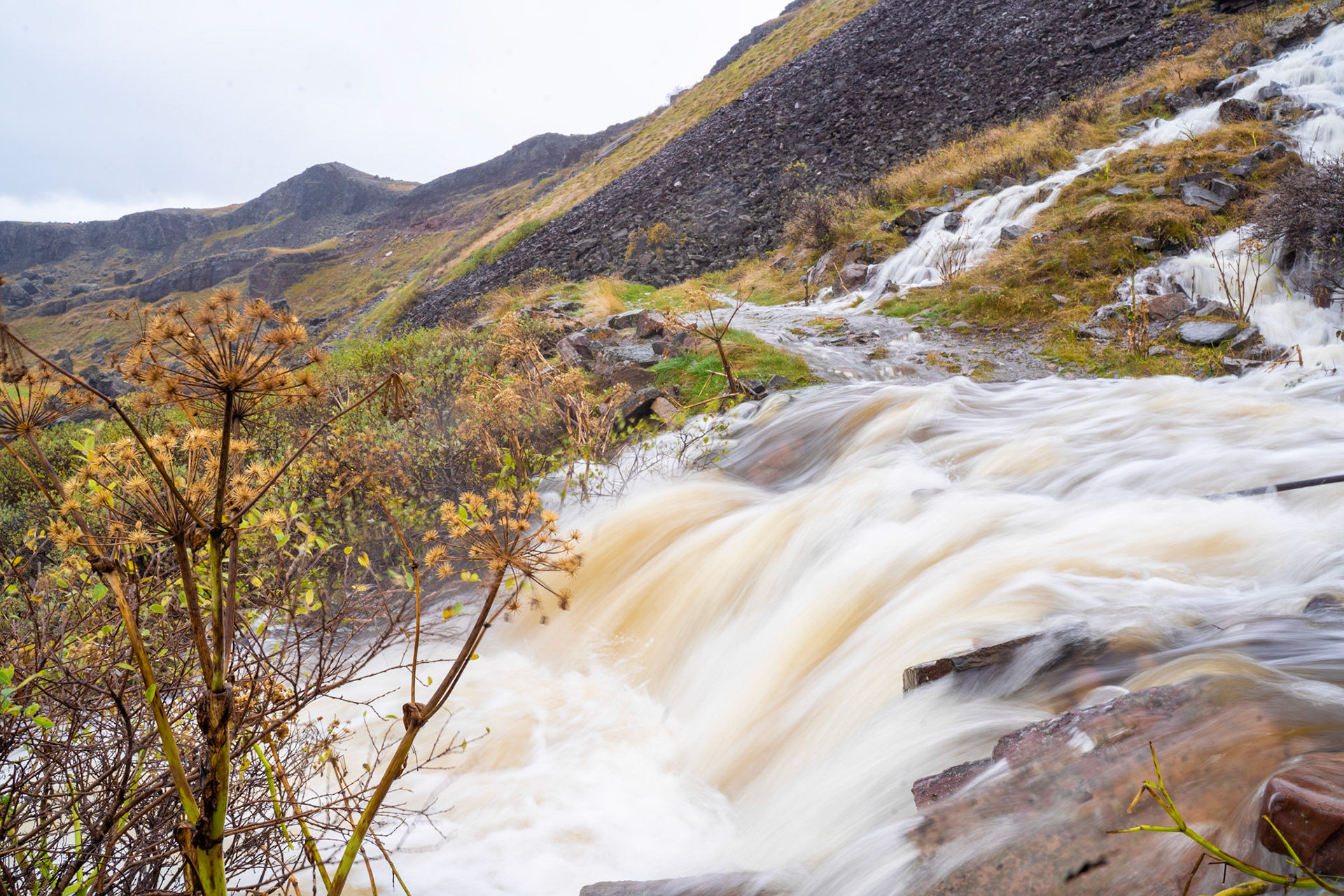Sillisit waterfall with angelica in the foreground.