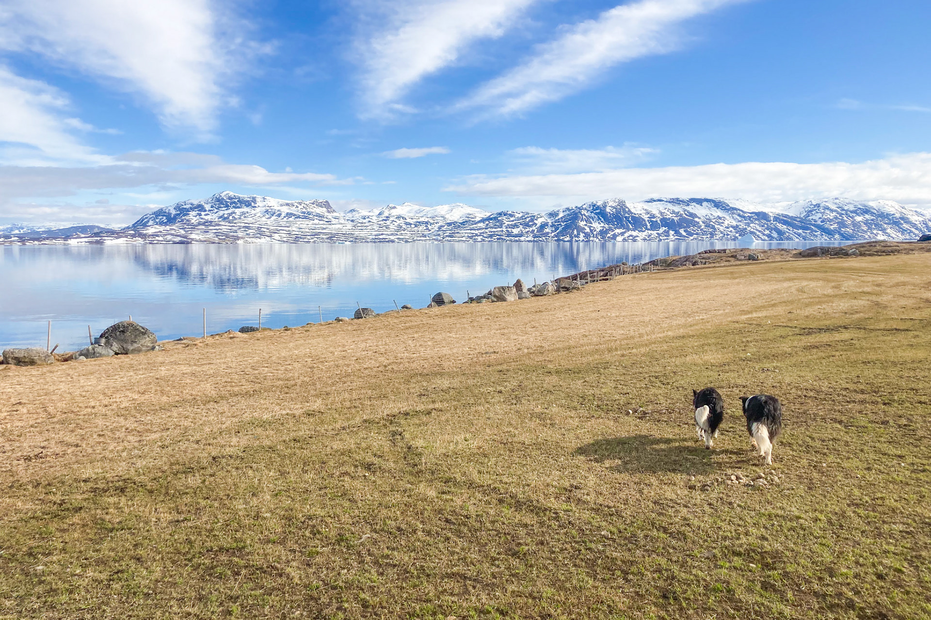 A sunny day in springtime at Sillisit. You can see that the grass is starting to grow again. (Taken on my phone)