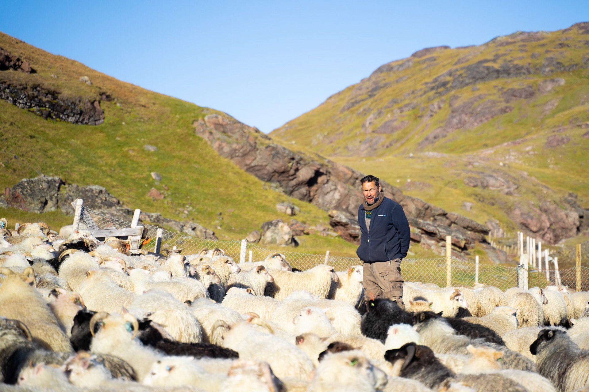 Carl in the pen at Inneruulalik.