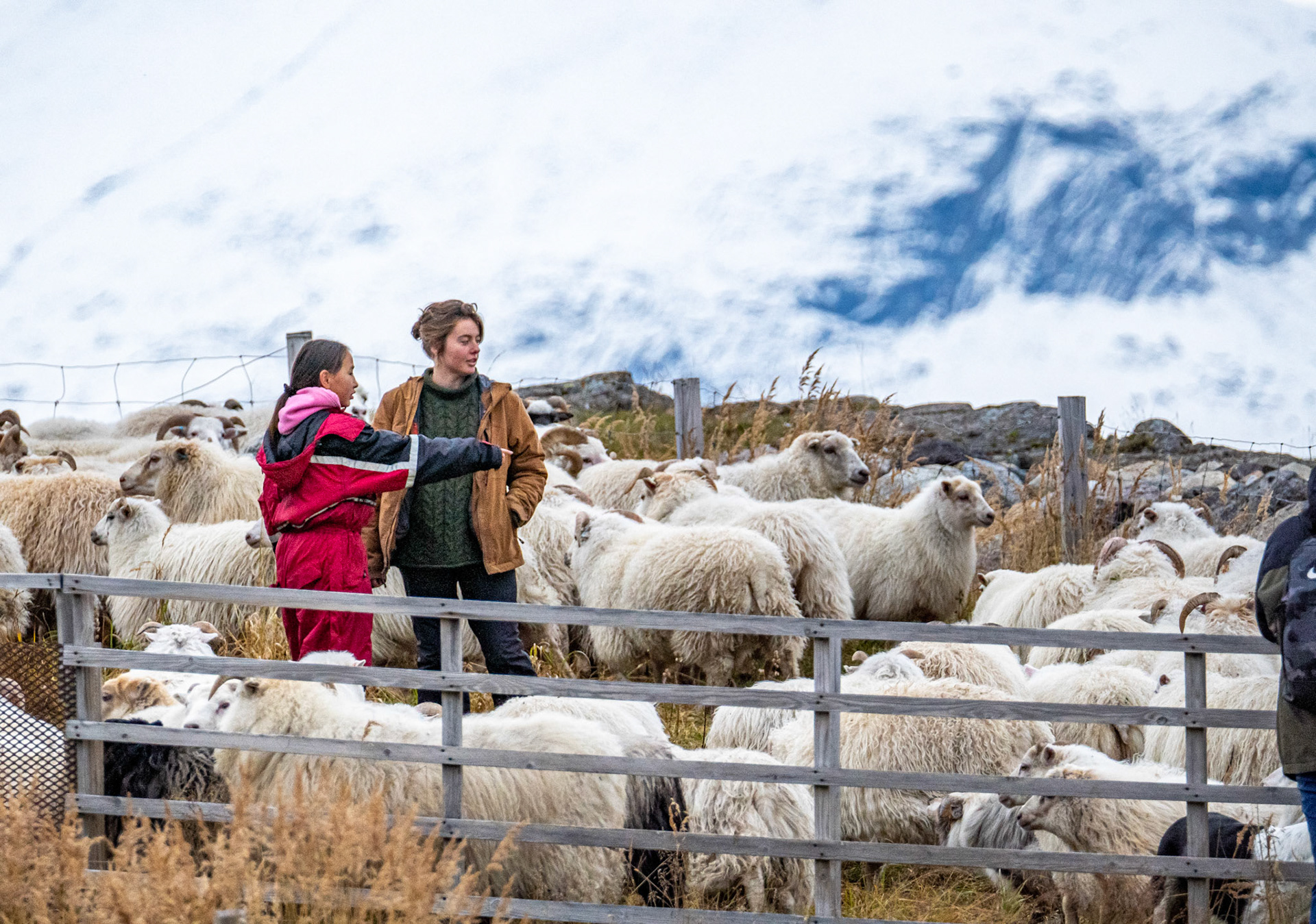 Kira and I in the pen at Ipiutaq farm. (Photo by Carson Brown)