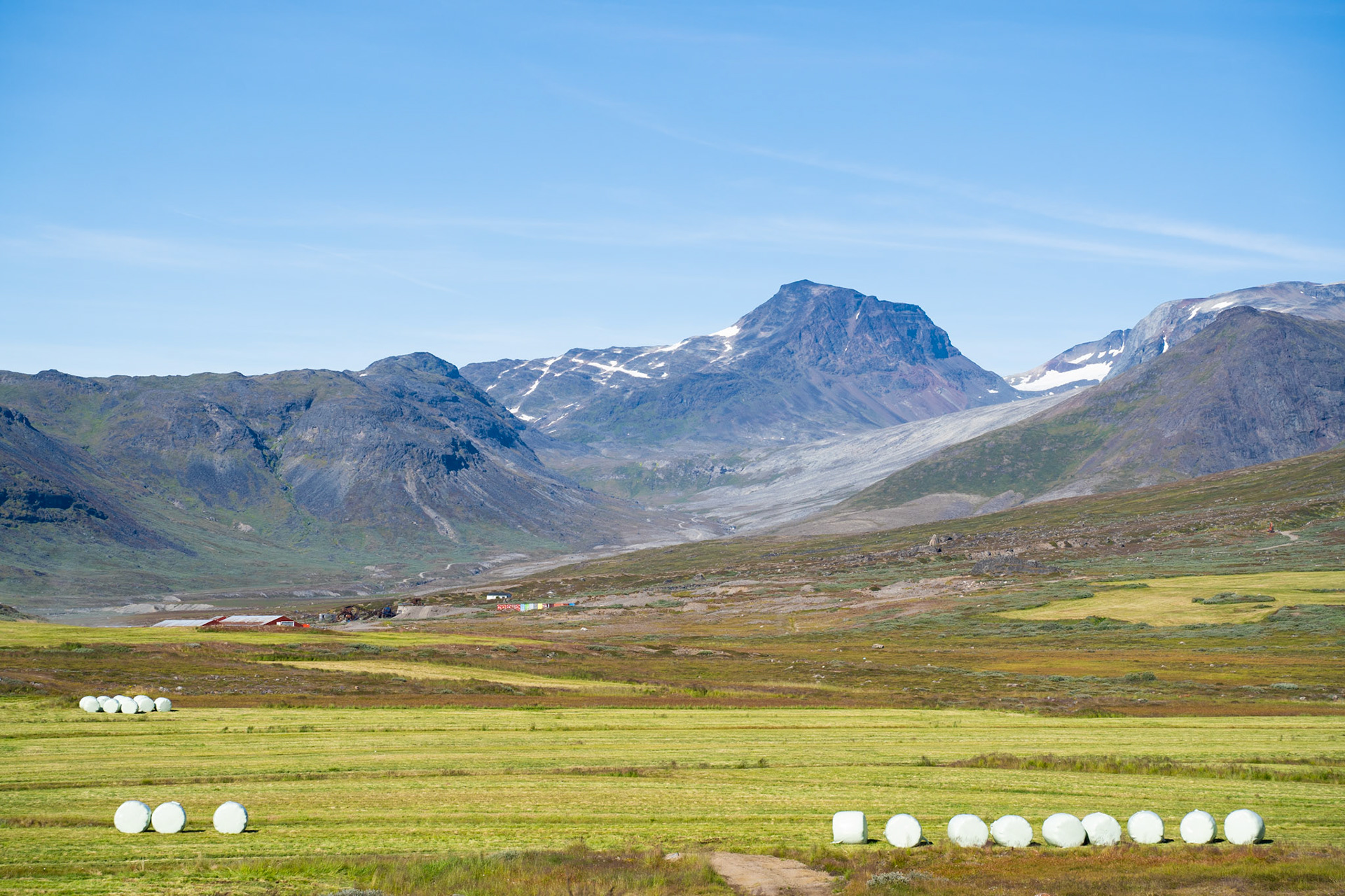 The cattle farm in Narsaq, which is the only cattle farm in Kalaallit Nunaat Greenland.